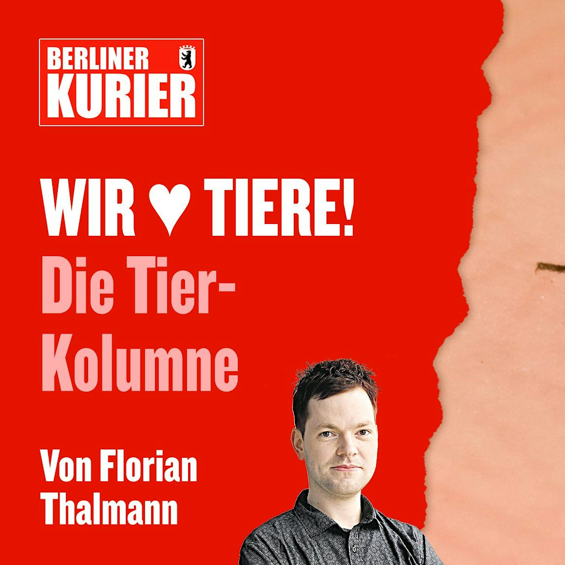 Meine Wutrede über Mücken: Verpisst euch, ihr verdammten Viecher! Warum ich die Blutsauger verabscheue – und was gegen sie hilft