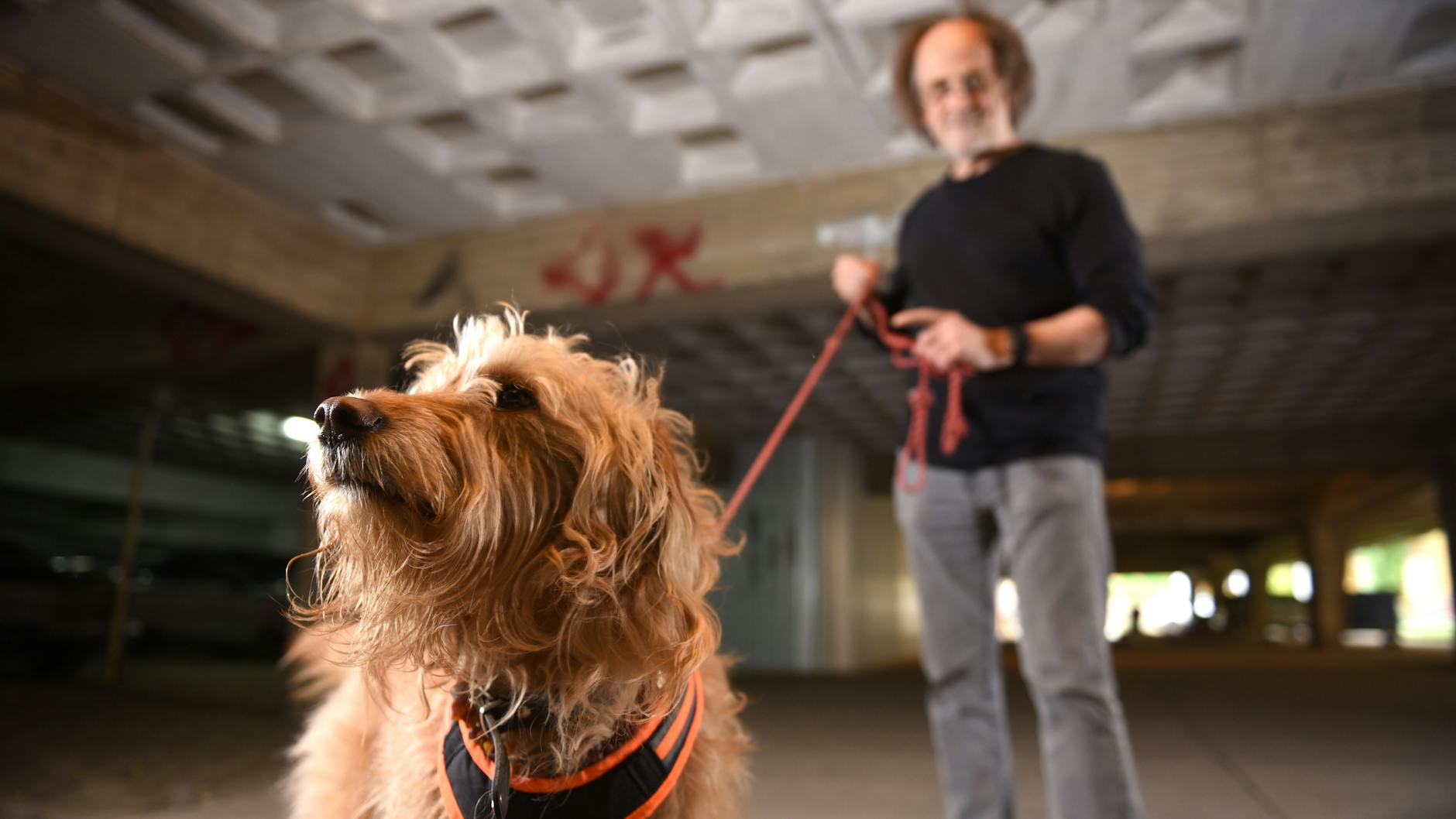 Helmut Becker-Zang und seine Mantrailer-Hündin Agatha. Sie ist eine Nachfolgerin von Hündin Miss Marple.