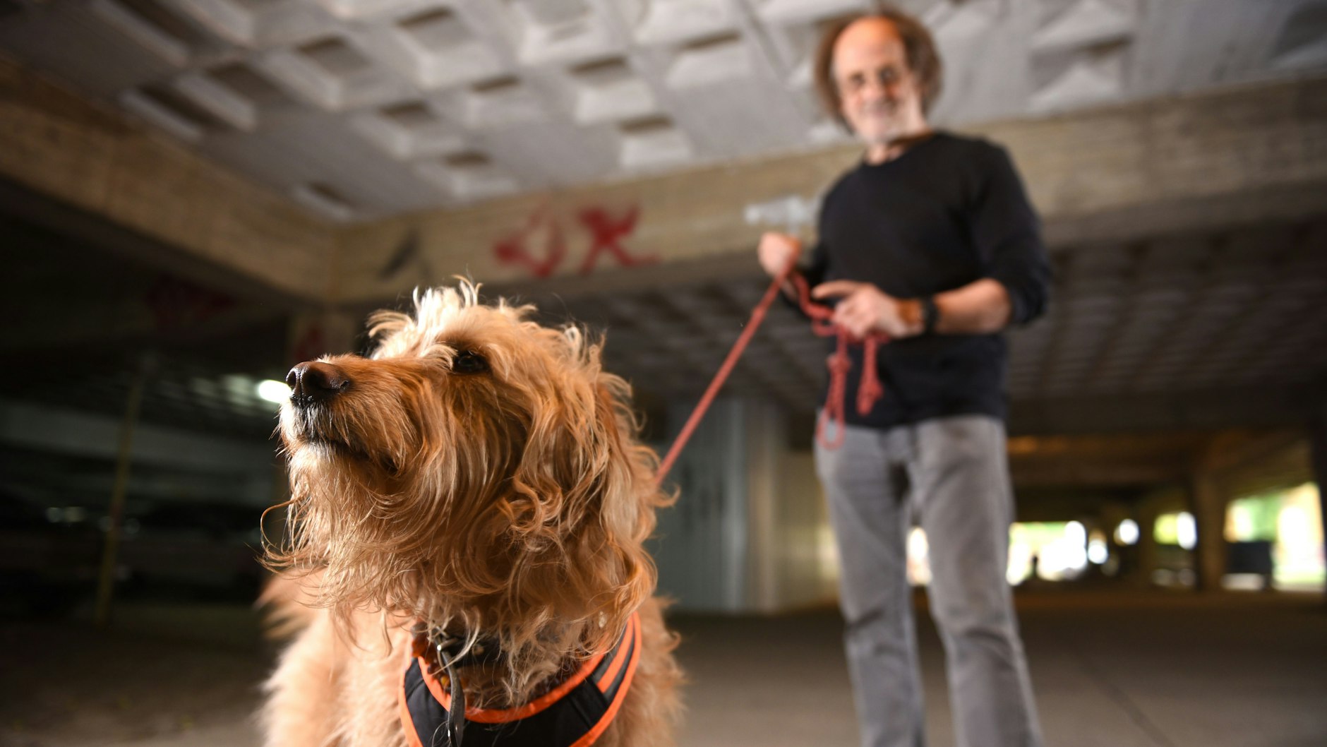 Helmut Becker-Zang und seine Mantrailer-Hündin Agatha. Sie ist eine Nachfolgerin von Hündin Miss Marple.