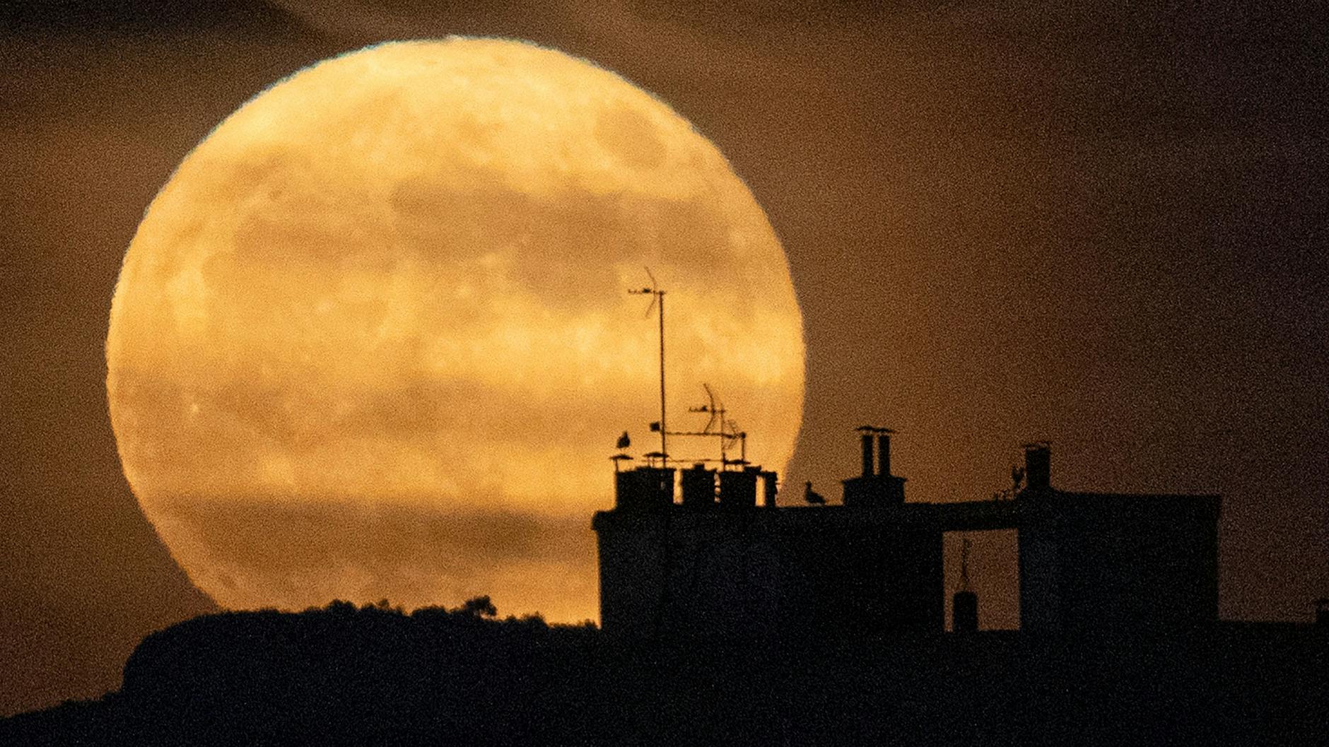 Frankreich: Der Vollmond geht über Marseille auf.