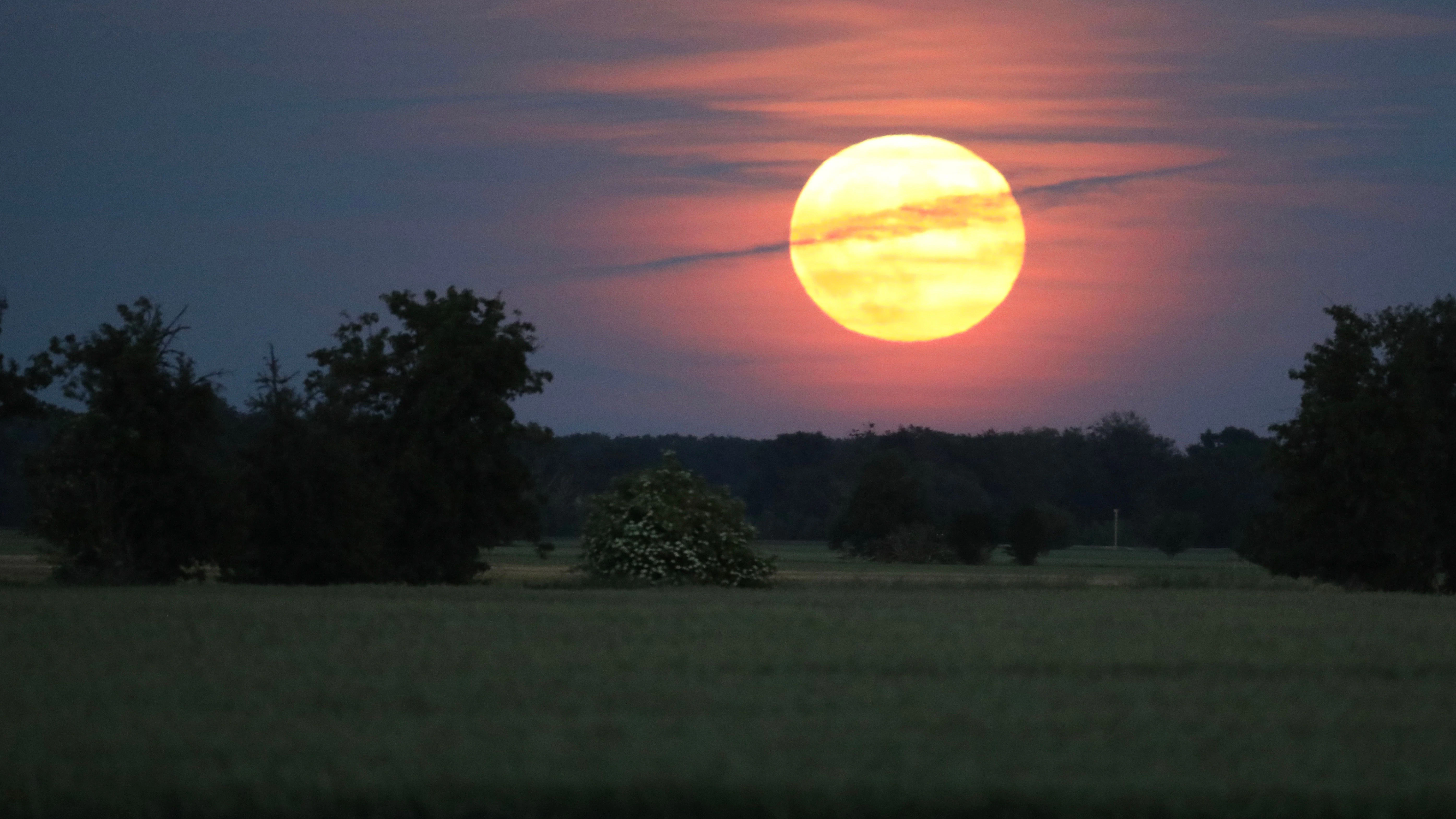 Sachsen, Glaucha: Der Mond geht über einem Feld in Nordsachsen auf.