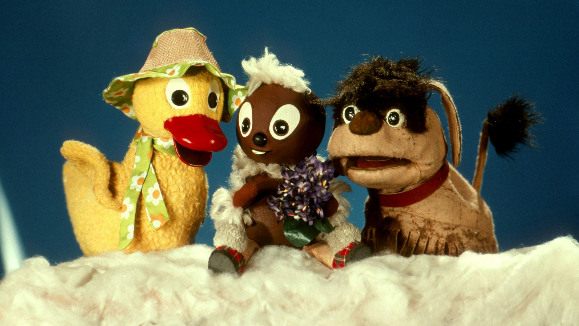 Pittiplatsch feiert mit seinen Freunden seinen ersten TV-Auftritt am 17. Juni 1962. Schnatterinchen hatte 1959 ihre Fernsehpremiere, Moppi kam in den 70er-Jahren dazu.