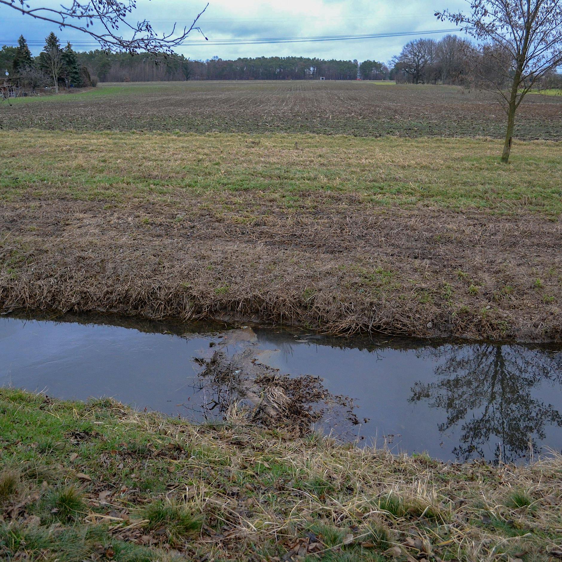 Viel zu trocken: Spree und Schwarzer Elster fehlt Wasser