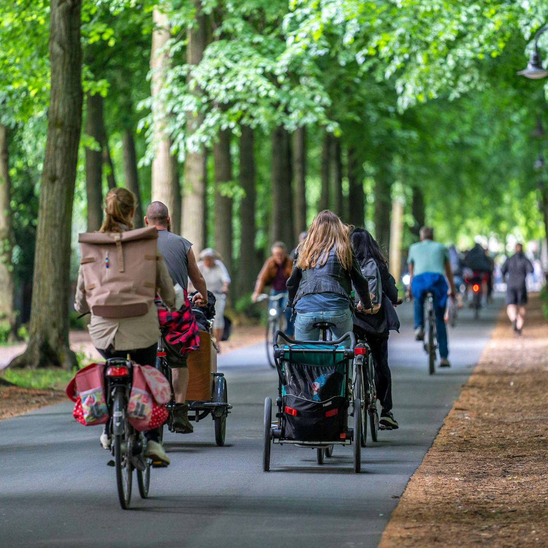 Achtung, Fahrradfahrer: Berlins Speckgürtel soll zur Autobahn für „Tretferraris“ werden!