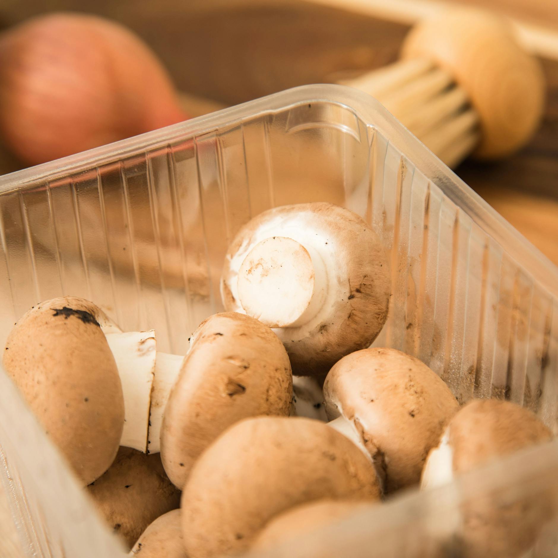 Erst wenn die Lamellen sichtbar sind, kommen die Sporen heraus und der Pilz wird besonders aromatisch.