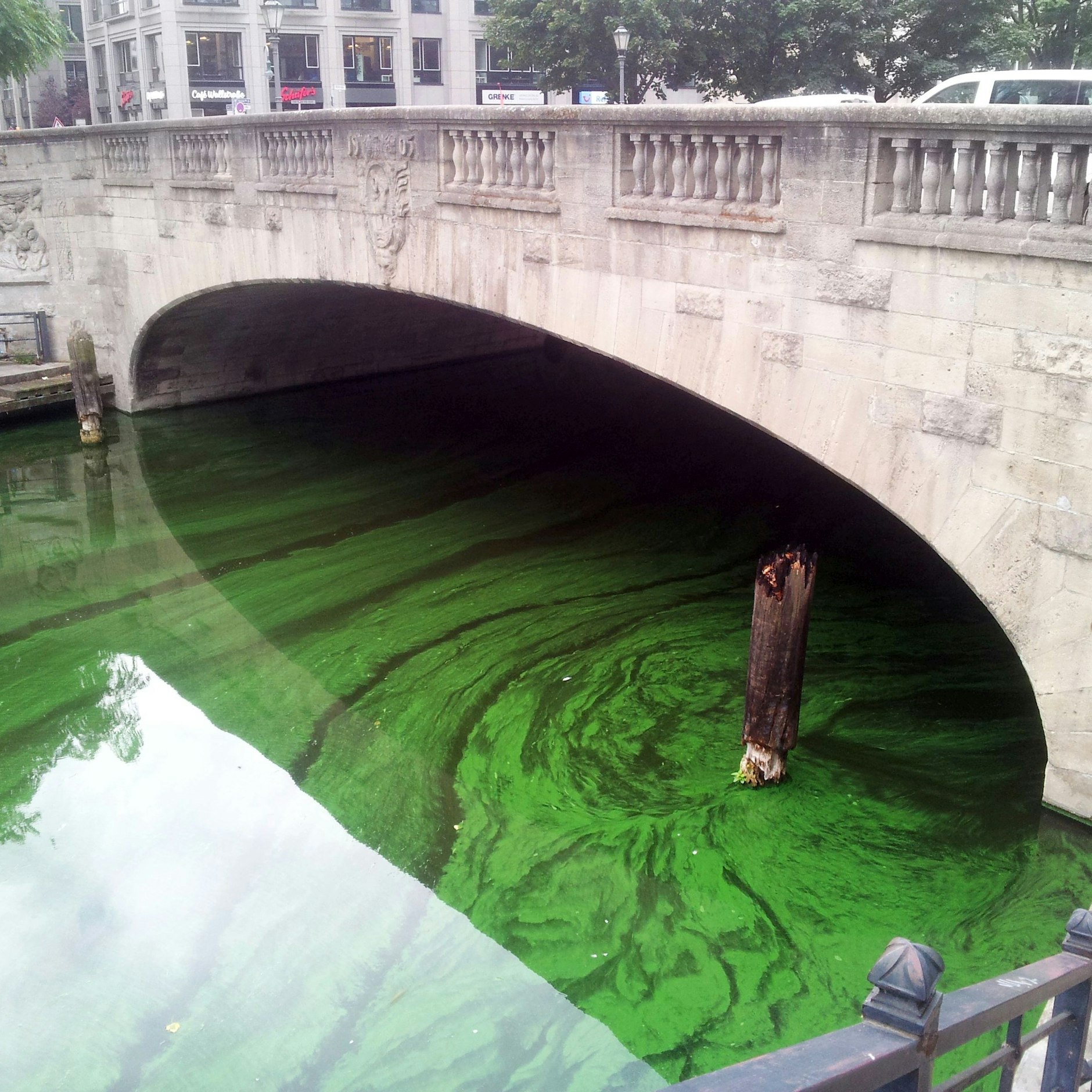 Blaualgen an einer Brücke zur Fischerinsel