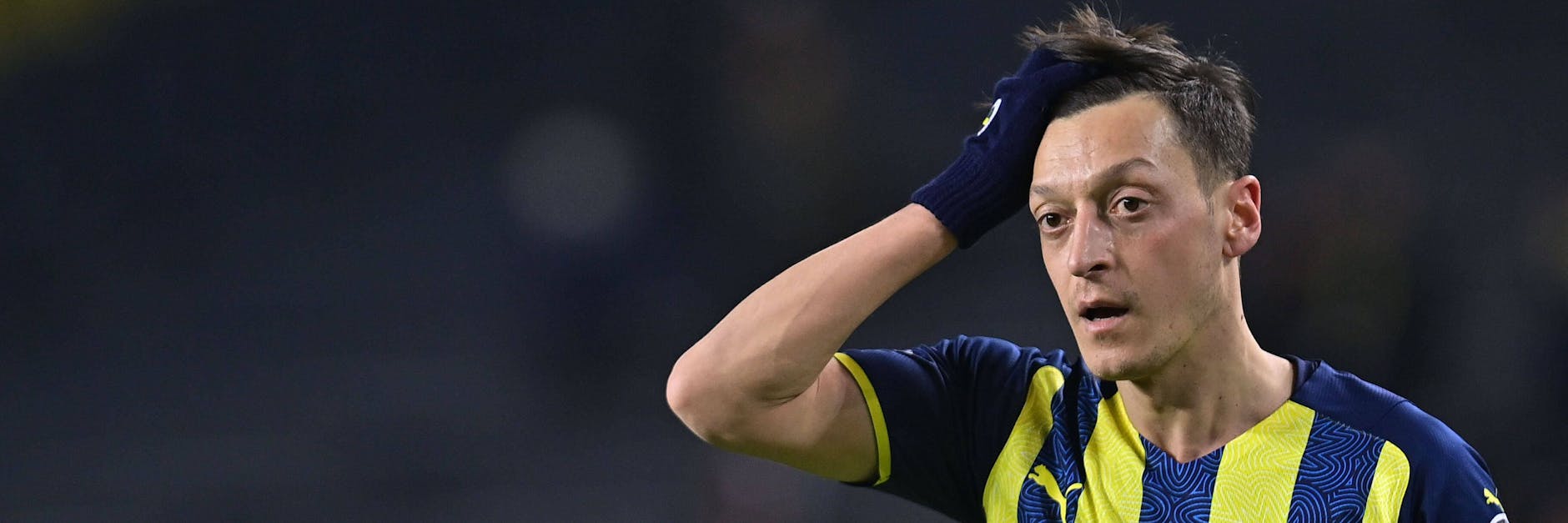 Mesut Özil hat einen klaren Karriereplan für seine Zeit nach dem Vertragsende bei Fenerbahce. Der Ex-DFB-Star will E-Sportler werden.