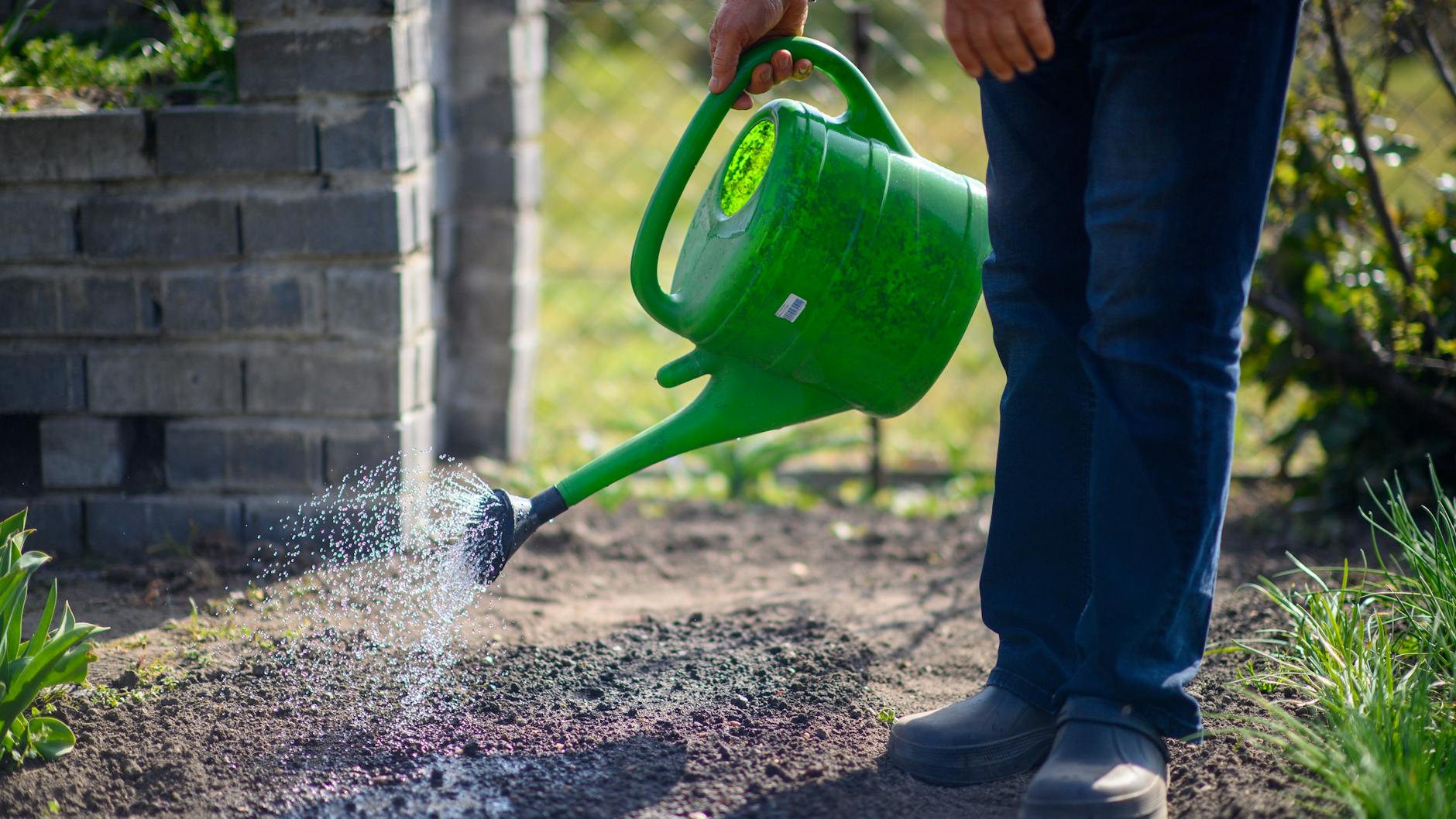 Wer seine Pflanzen gießen will, darf das im Kreis Havelland nur noch nachts.