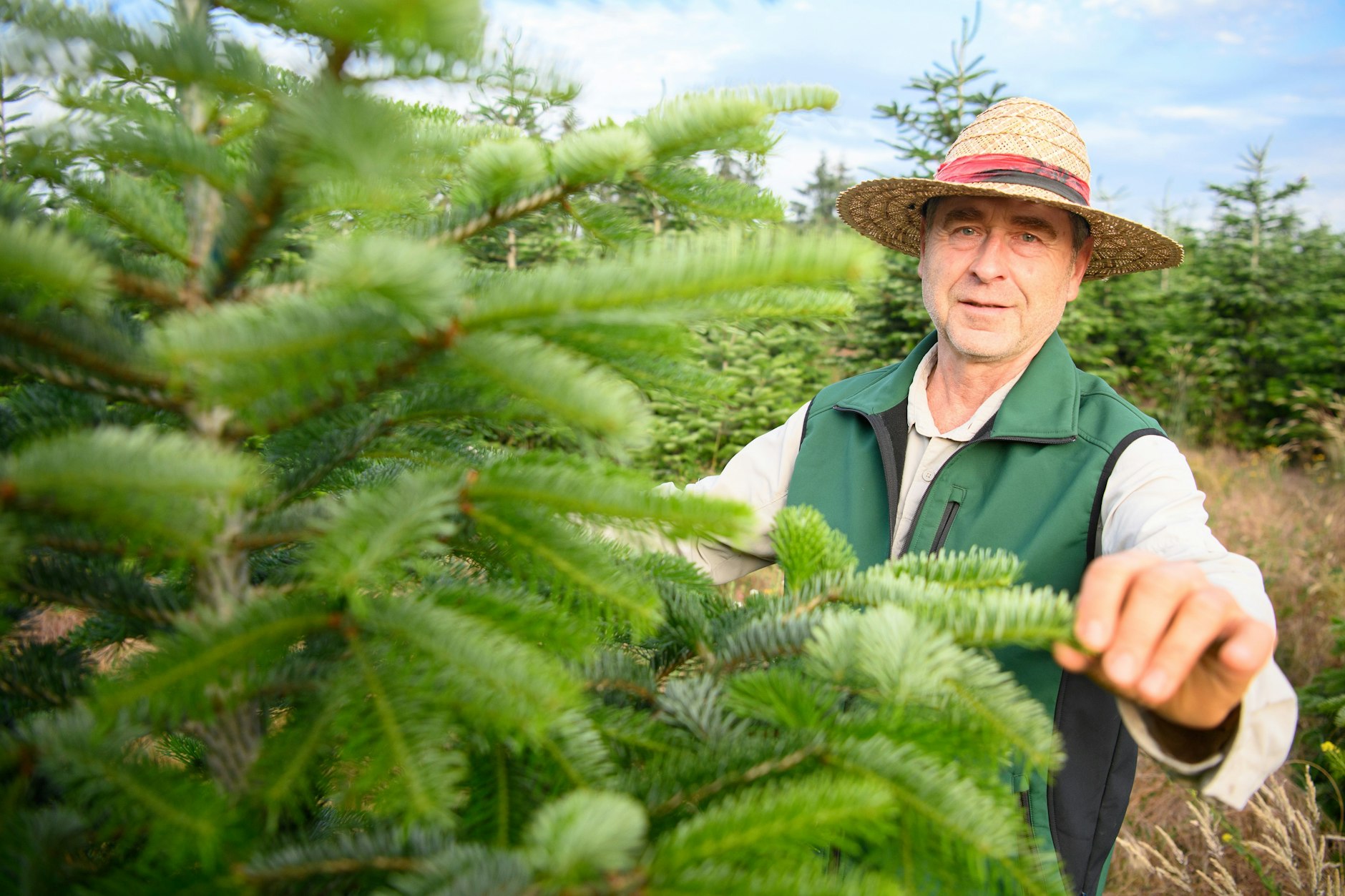 Gerald Mai in seiner Tannenplantage bei Plötzin: Die Nordmanntanne sieht schön grün aus.