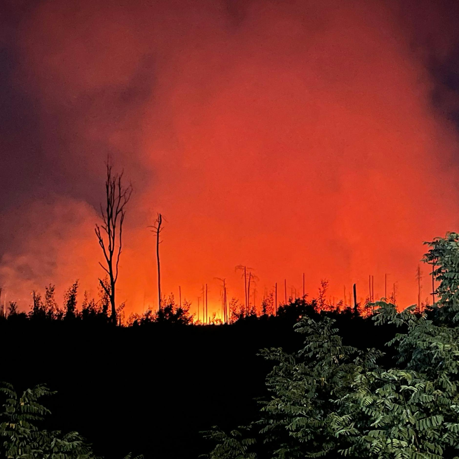 Katastrophen-Alarm und Evakuierungen auch in Beelitz bei Berlin! „Das Feuer steht etwa 1 bis 1,5 Kilometer vor der Grenze der Stadt“+++ Regen sorgt für Entspannung +++ Treuenbrietzen: Krankenhaus bereitet Evakuierung vor +++