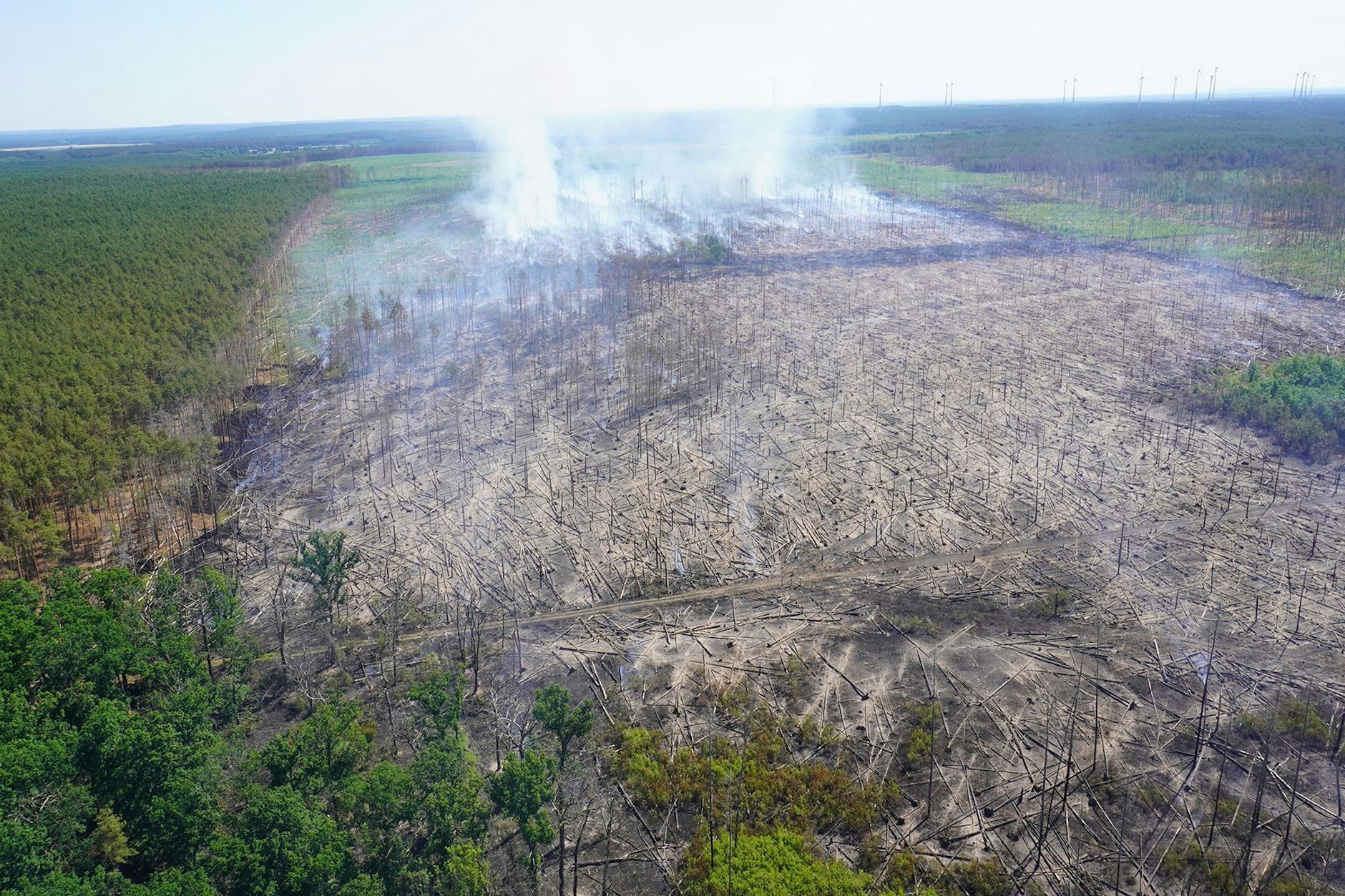 Das Luftbild zeigt ein Areal des Waldbrandgebiets bei Treuenbrietzen.