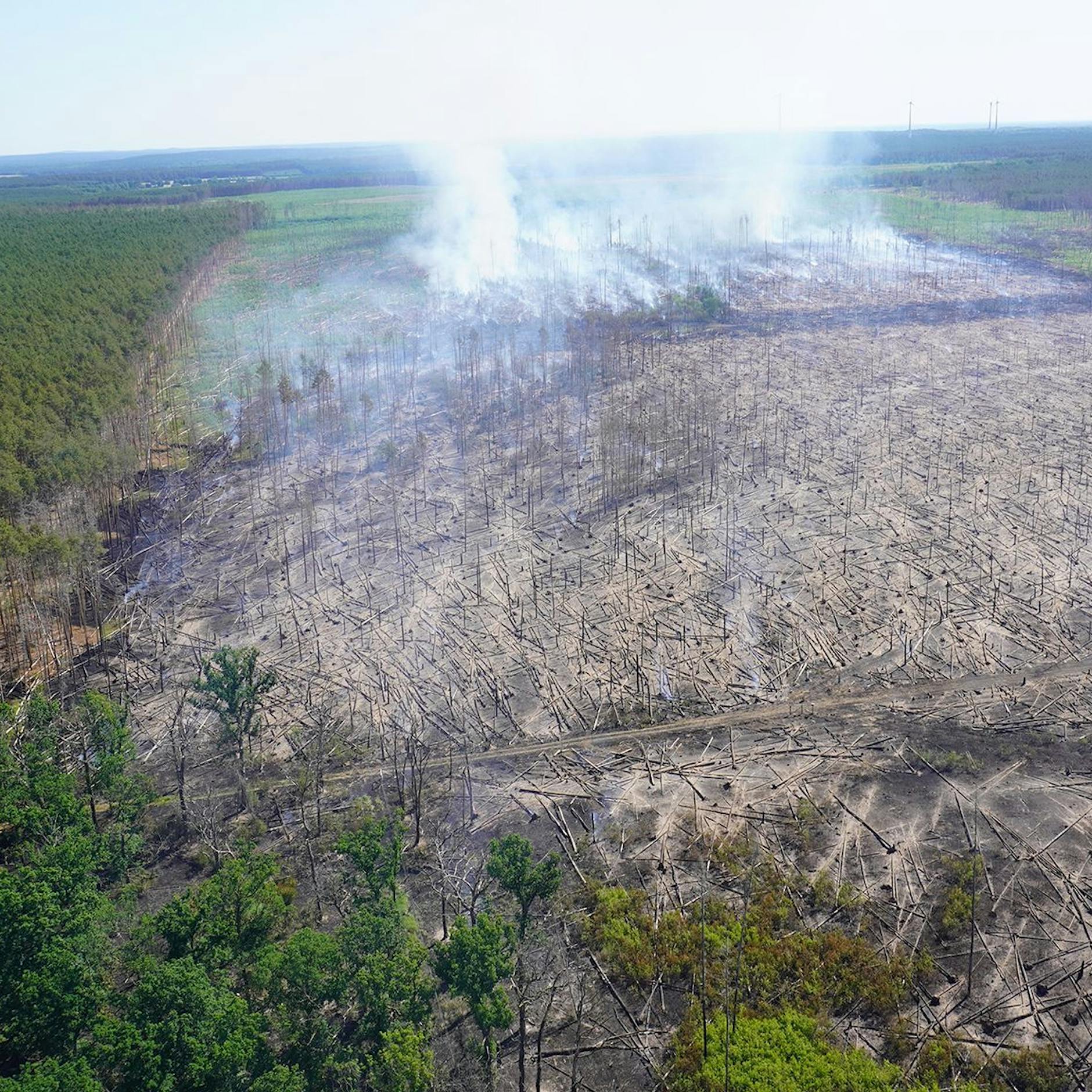 Waldbrand in Treuenbrietzen: Wann kommt endlich der Regen? Europa ächzt unter der Mega-Hitzewelle!