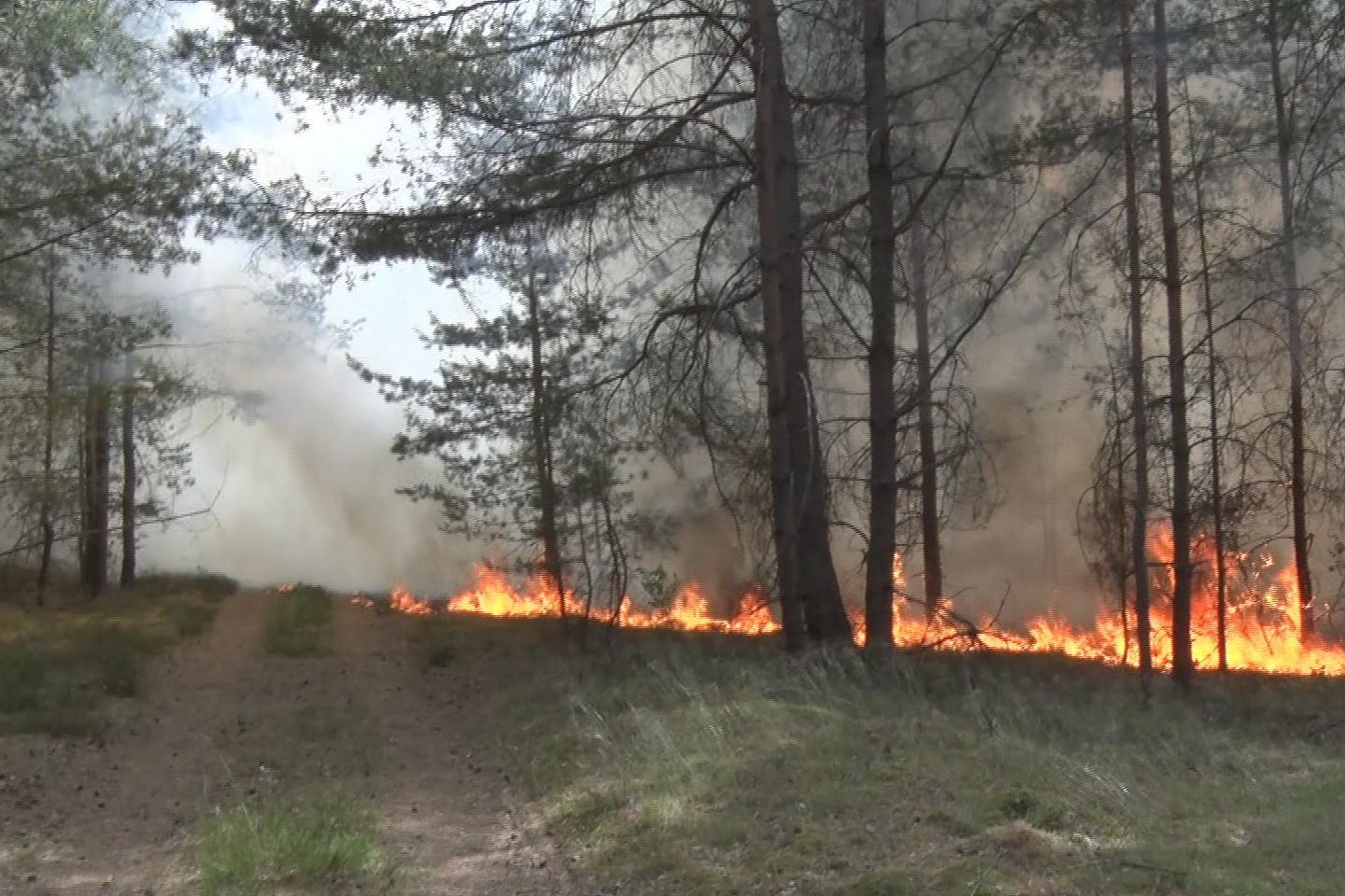 Der angekündigte Regen könnte zu wenig sein, um die Waldbrände in Brandenburg zu löschen.