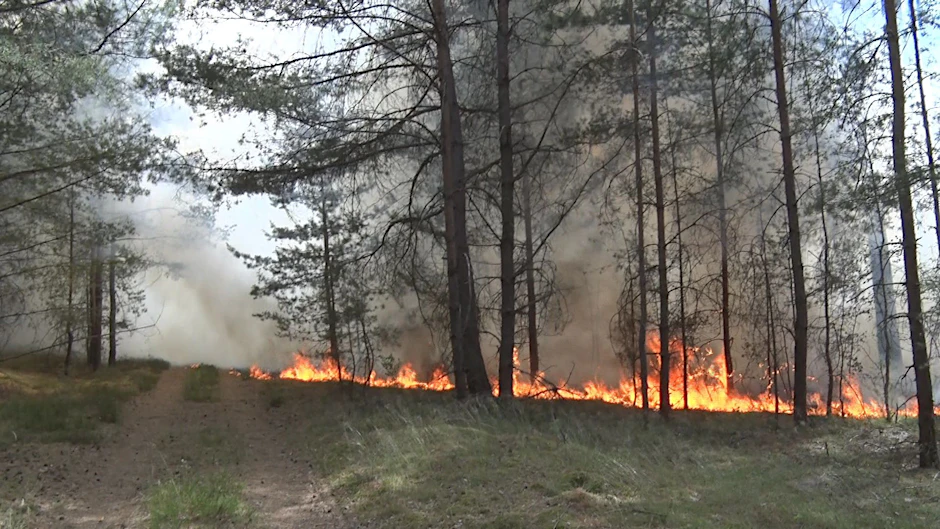 Der angekündigte Regen könnte zu wenig sein, um die Waldbrände in Brandenburg zu löschen.