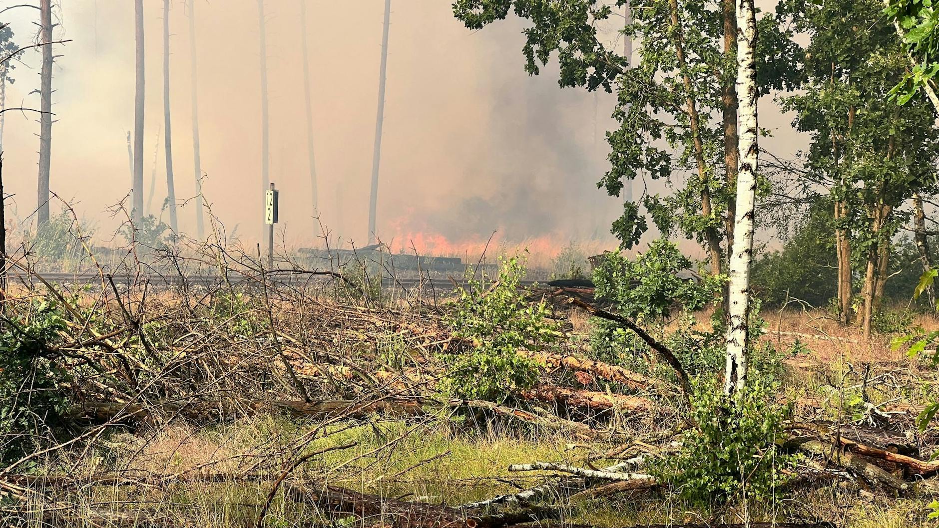 Flammen sind bei einem Waldbrand zu sehen. Die vom Waldbrand in Treuenbrietzen nahe Berlin betroffene Fläche hat sich in der Nacht zum Sonntag ausgedehnt.