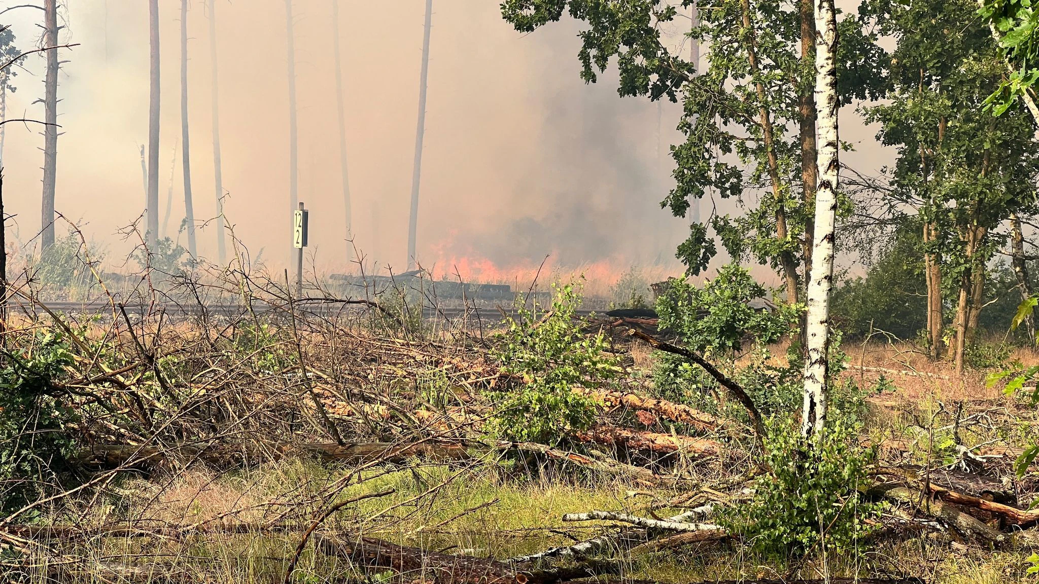 Flammen sind bei einem Waldbrand zu sehen. Die vom Waldbrand in Treuenbrietzen nahe Berlin betroffene Fläche hat sich in der Nacht zum Sonntag ausgedehnt.