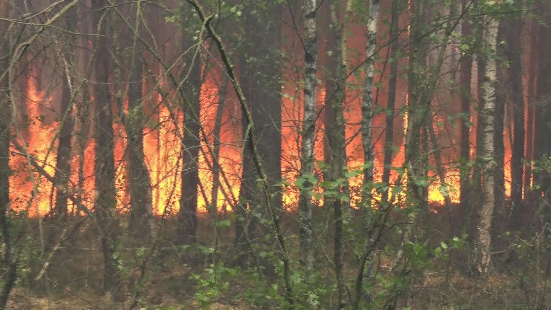 Beelitz: Der Waldbrand breitet sich weiter aus.