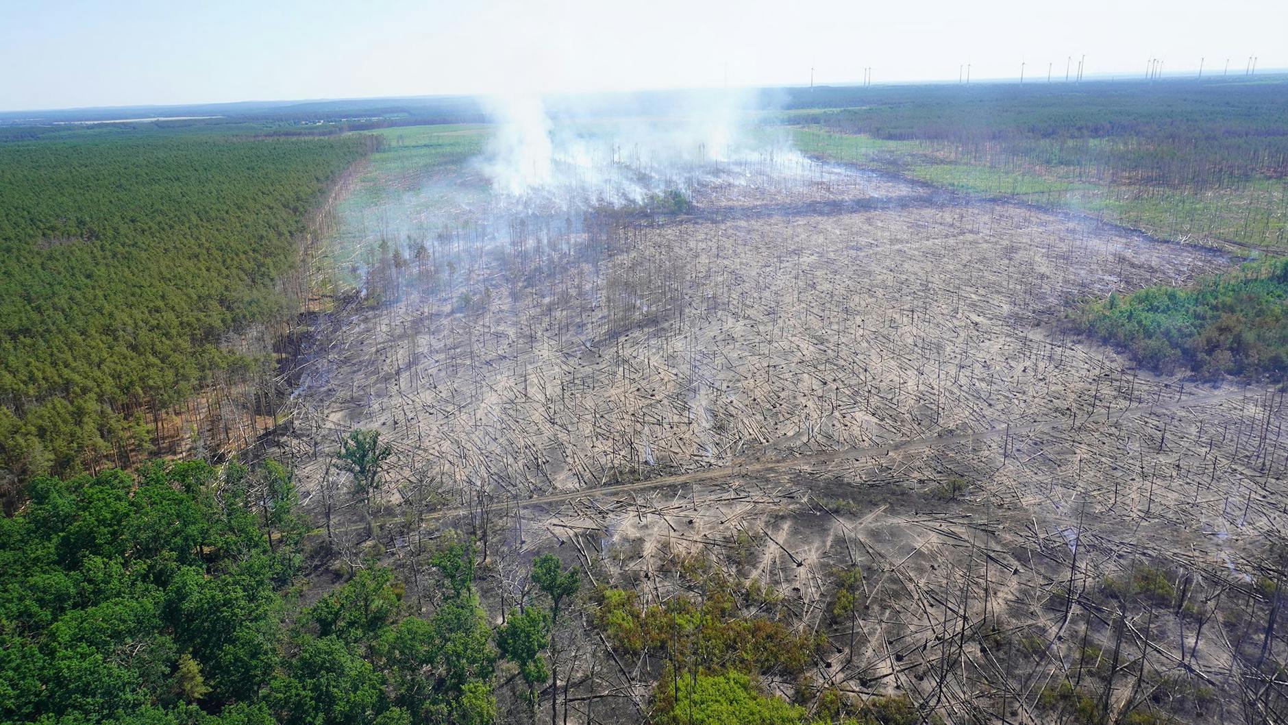 Das Luftbild zeigt ein Areal des Waldbrandgebiets bei Treuenbrietzen.