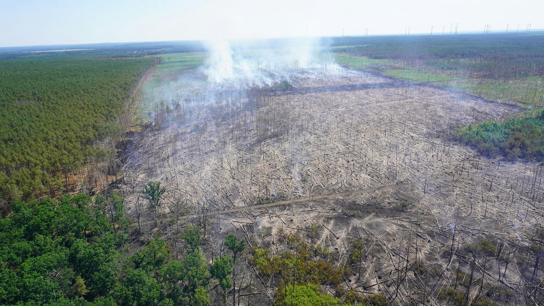 Das Luftbild zeigt ein Areal des Waldbrandgebiets bei Treuenbrietzen.