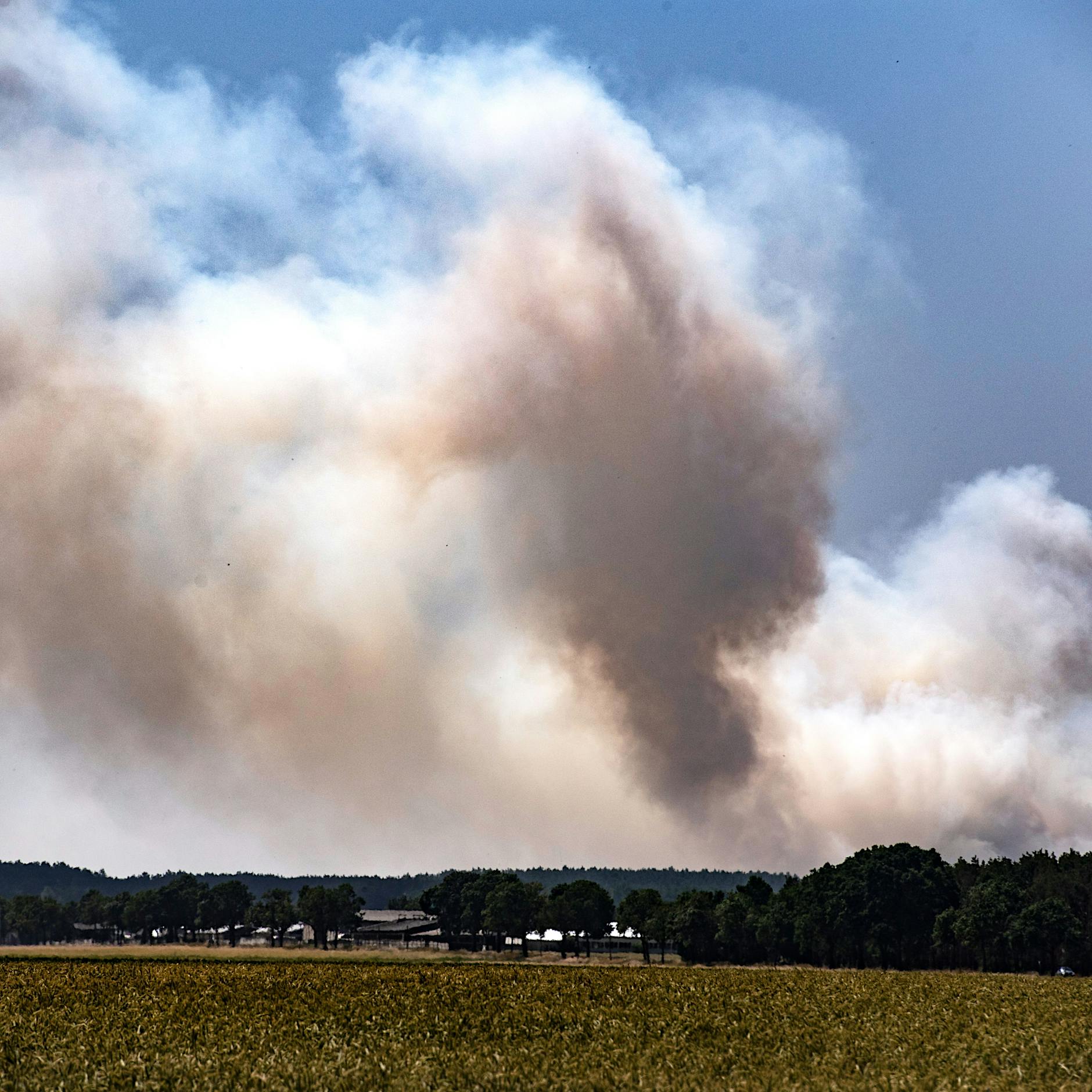 Waldbrände in Treuenbrietzen und Beelitz: Ortsteile evakuiert