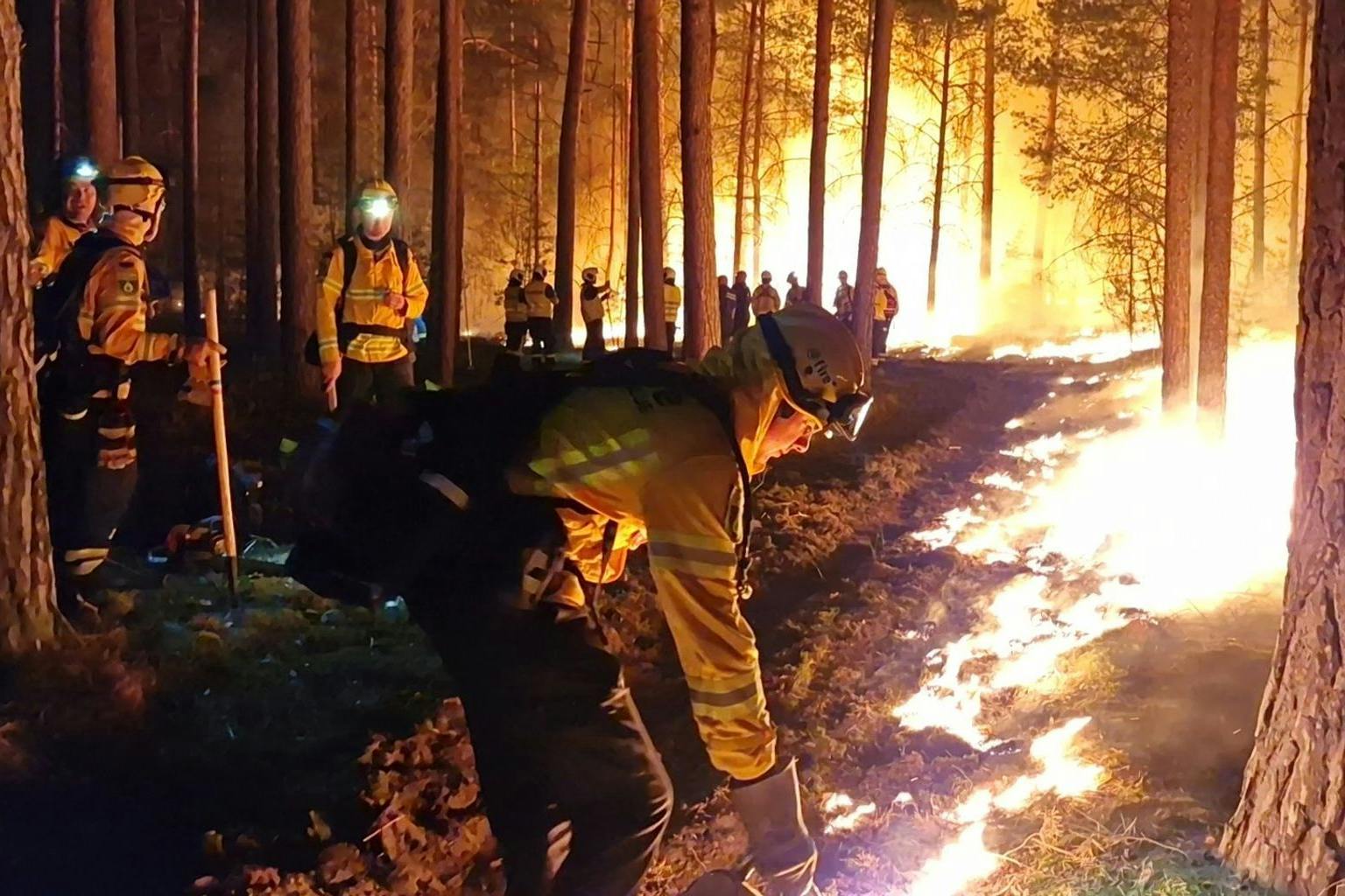 Feuerwehrleute legen ein Gegenfeuer, um die weitere Ausbreitung des Brandes zu verhindern.