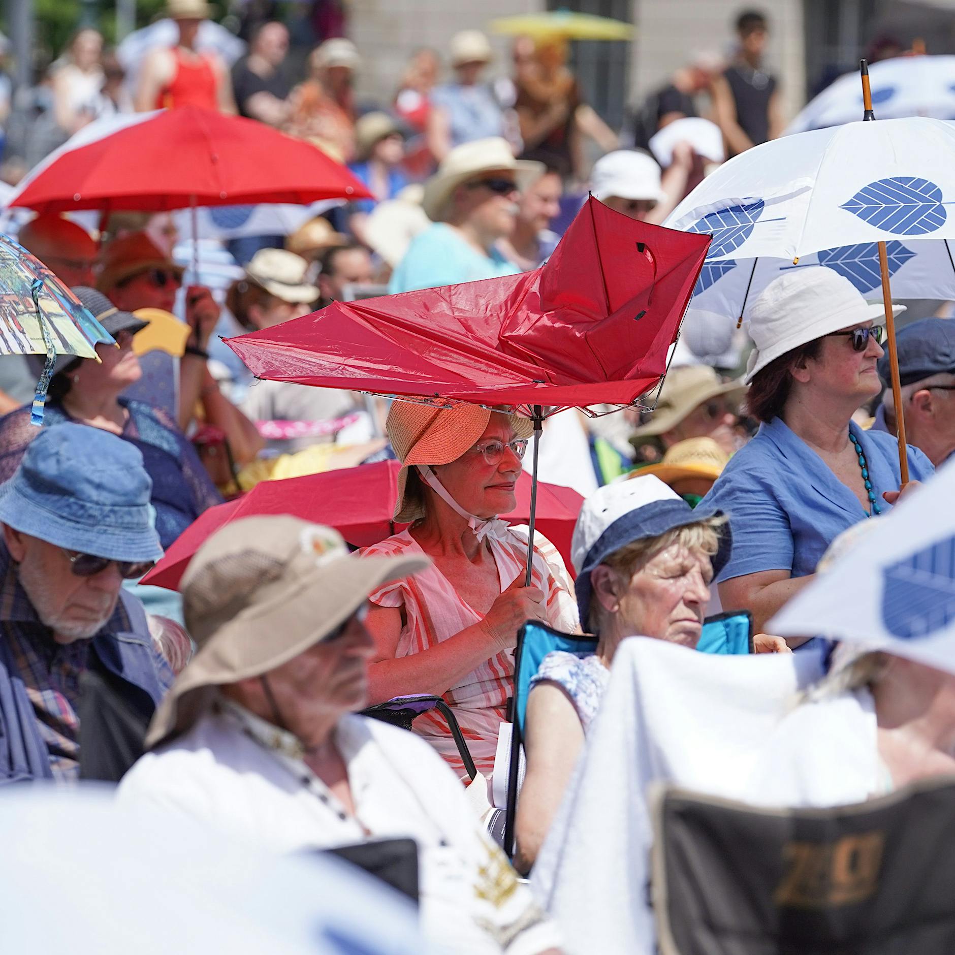 Extreme Hitze tötet – Berlin will jetzt etwas dagegen unternehmen