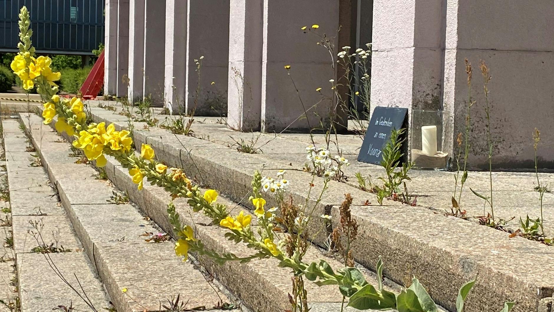 Die improvisierte Gedenkplatte für den am 20. Juni bei einem Autounfall gestorbenen Bitterfelder Unternehmer Matthias Goßler auf den Stufen seines Kulturpalastes.