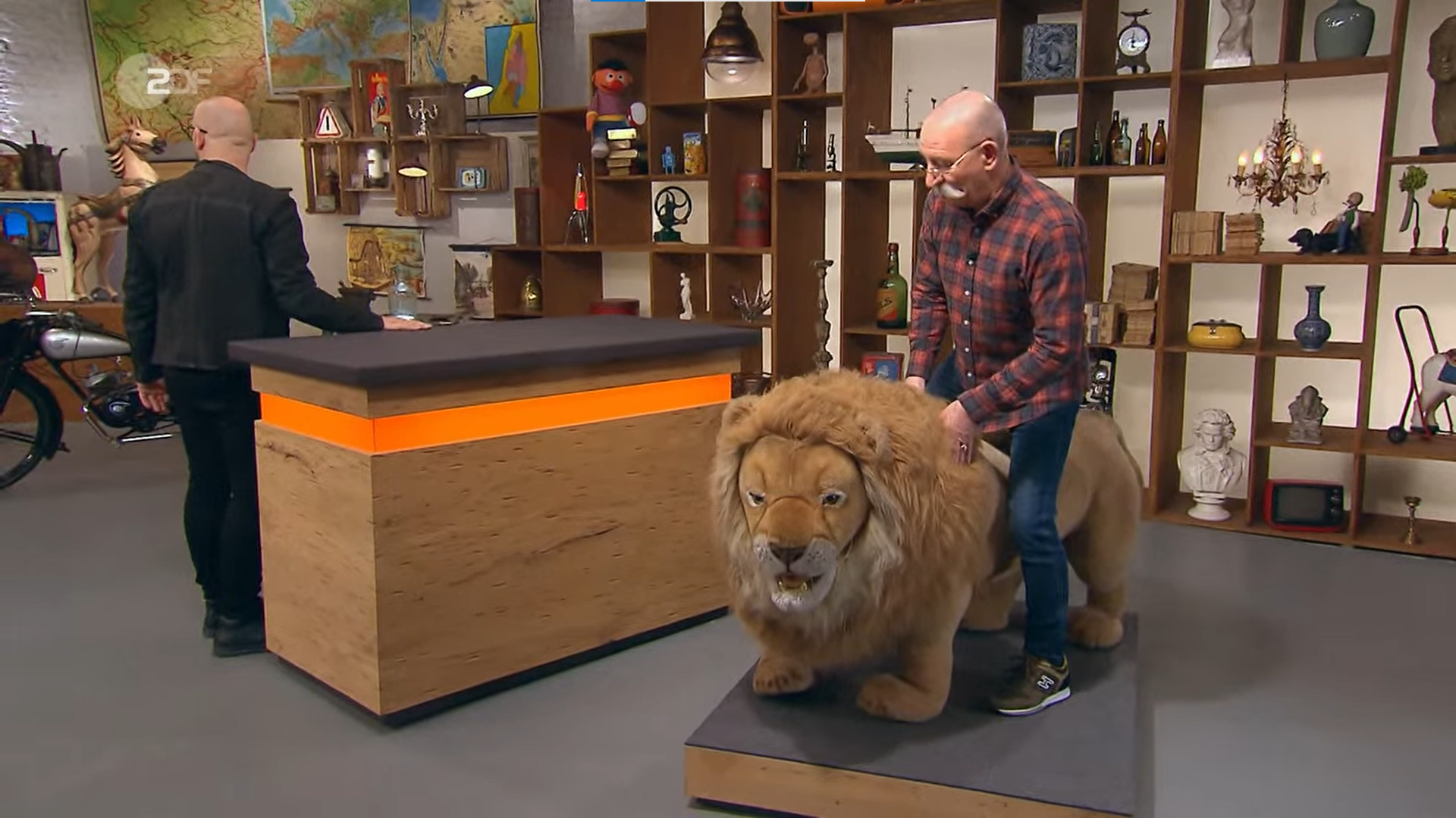 Image - „Bares für Rares“: Horst Lichter Auge in Auge mit dem König der Tiere