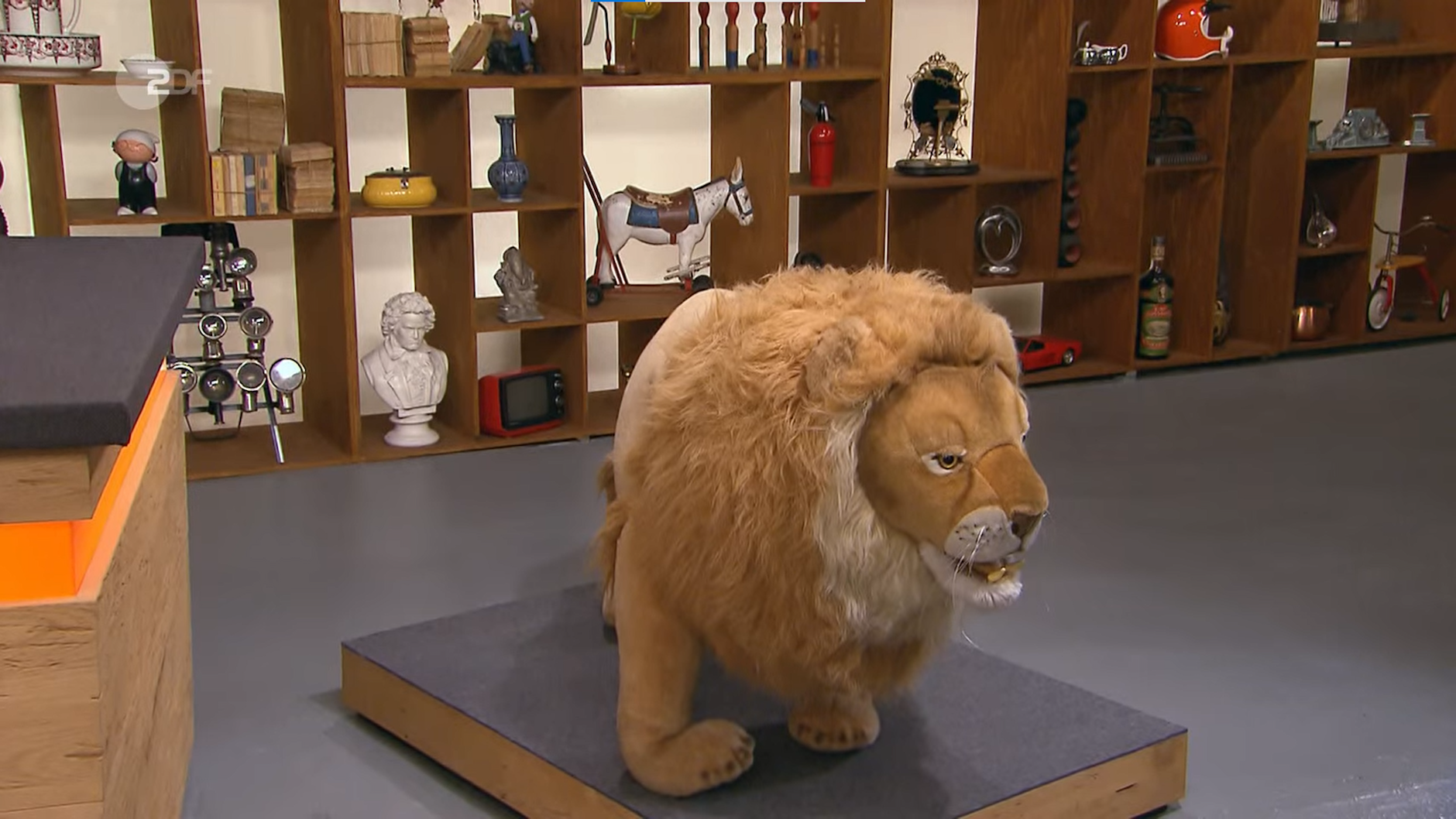 Die Raubkatze ist beinahe so groß wie das echte Tier, dafür aber deutlich einfacher zu halten.