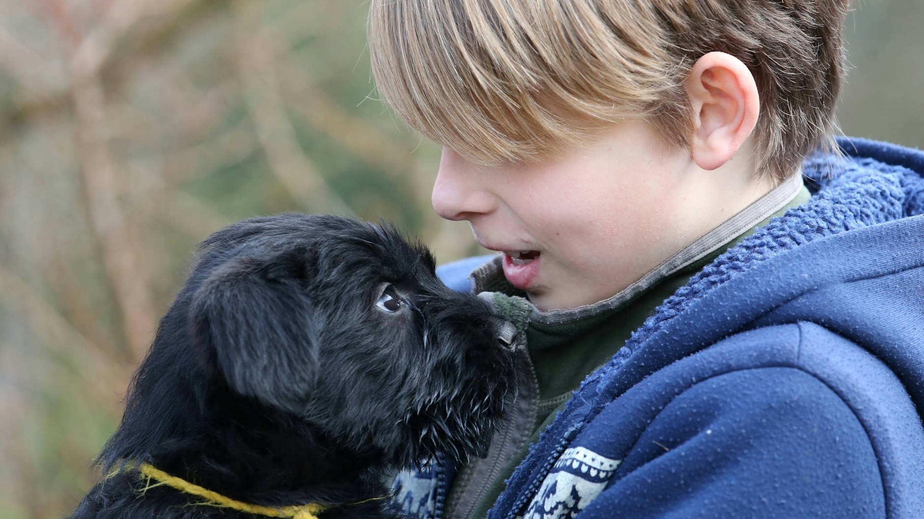 Dass Hunde sich beim Menschen besonders wohl fühlen, sei evolutionär bedingt, so die Forscher aus Japan.