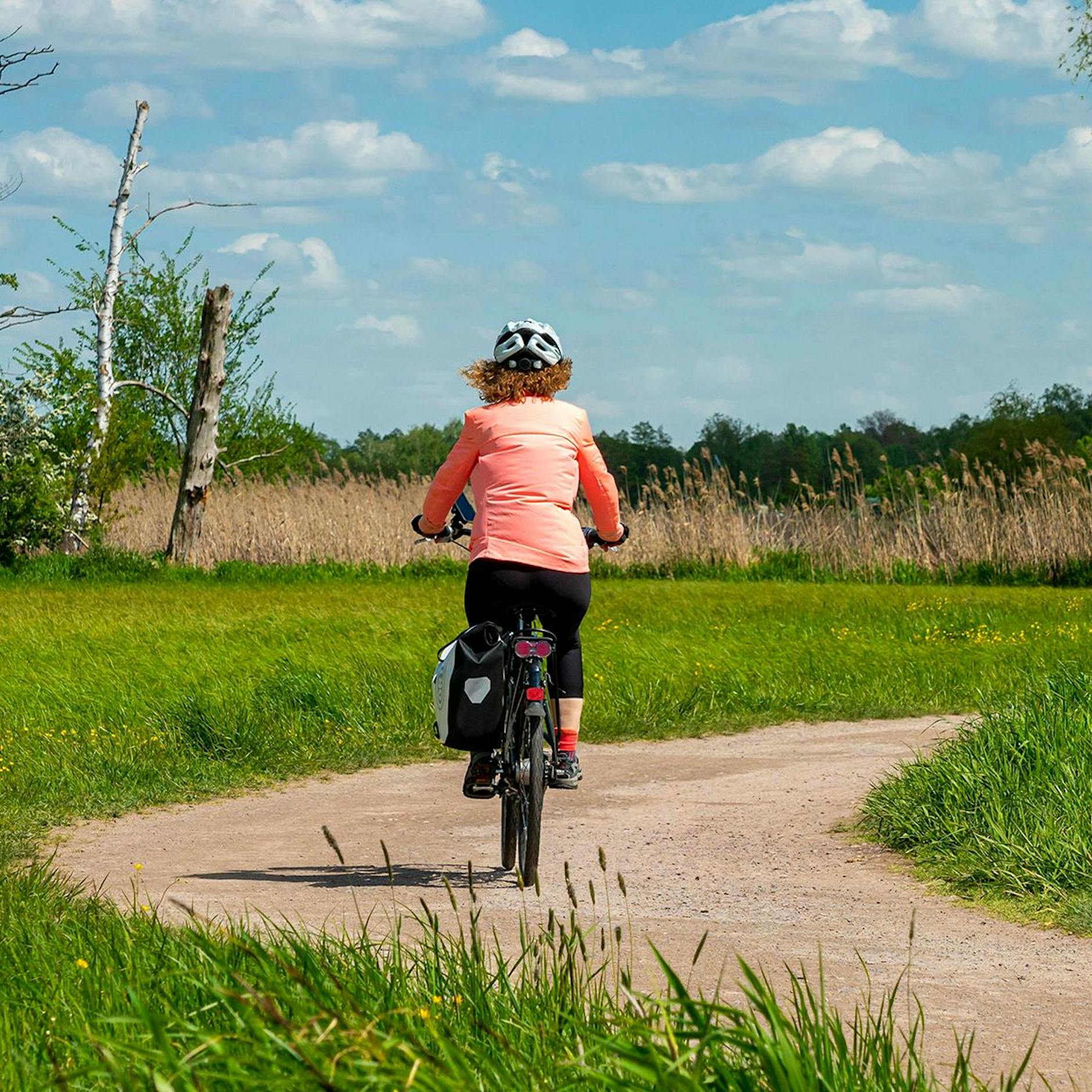 Besser spät als nie! Wie ich Liebe zum Fahrrad entdeckte – und warum Fahrradtouren einfach klasse sind