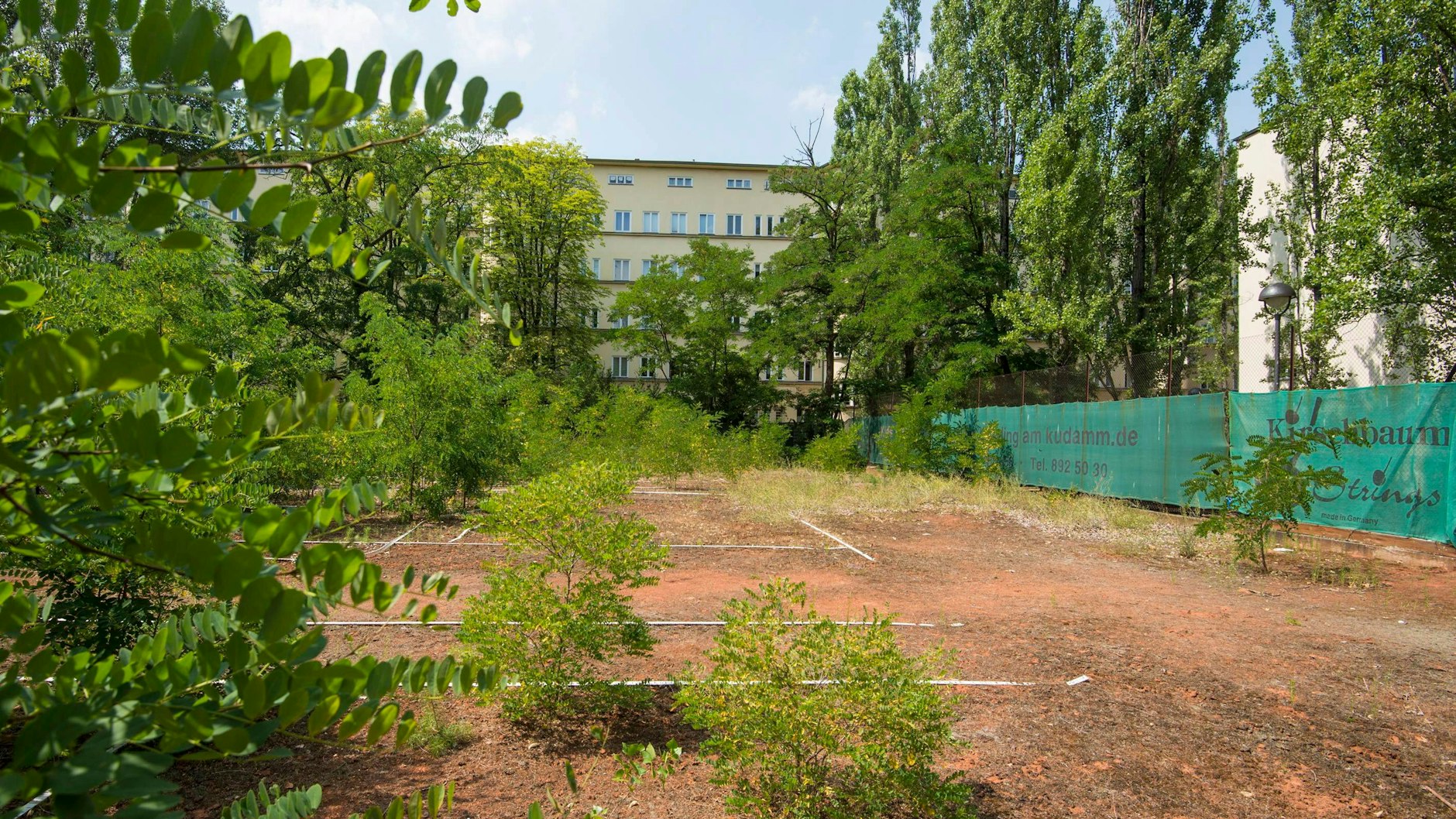 Die Tennisplätze waren 2016 schon vollkommen verwildert