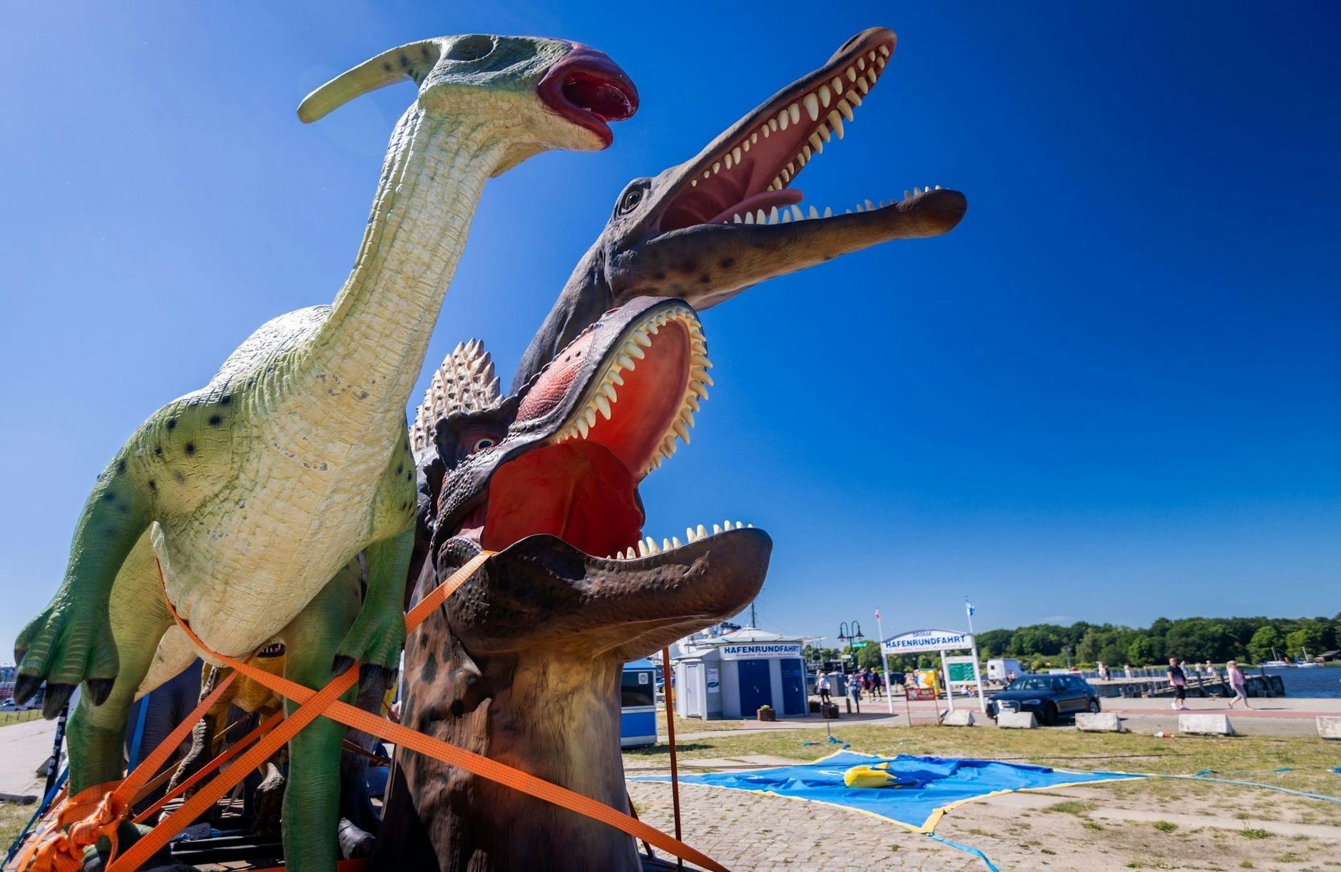 Die großen Saurierfiguren eines Schaustellers sind wohl umsonst abgereist - denn die Bundesgartenschau in Rostock wurde abgesagt.