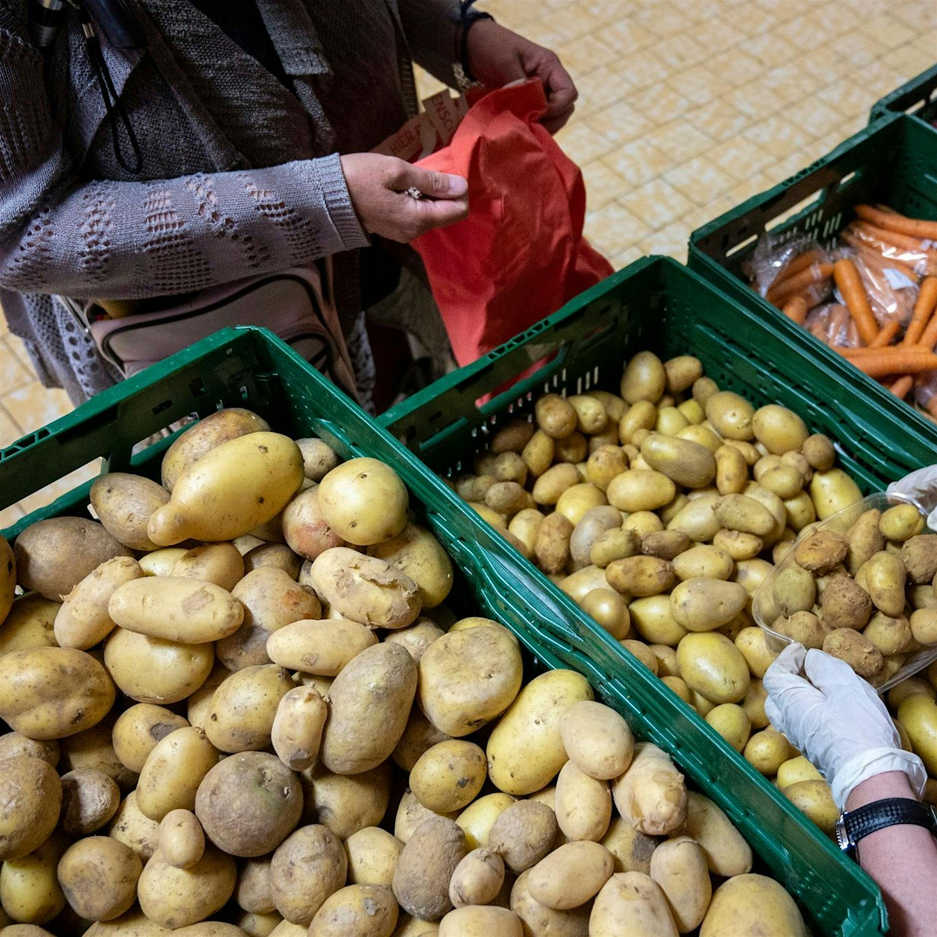Ukraine-Geflüchtete: Tafeln kritisieren unzureichende Hilfe