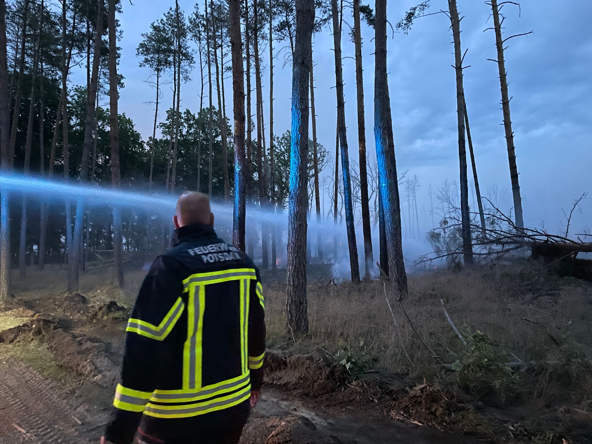 Image - Waldbrand-Gefahr: Es brannte schon wieder, diesmal in Rheinsberg, nordöstlich von Berlin