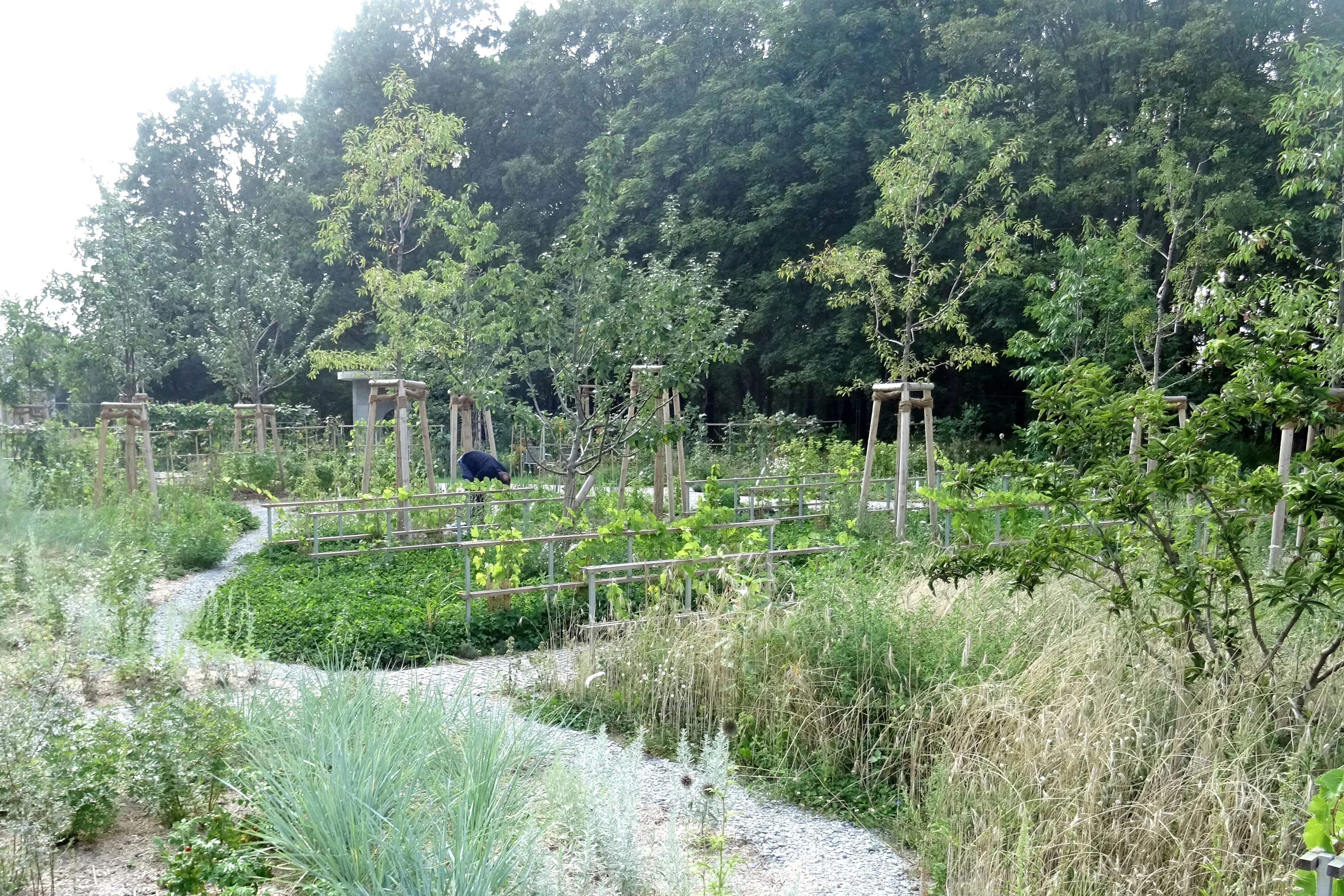 Der Jüdische Garten in den Gärten der Welt.