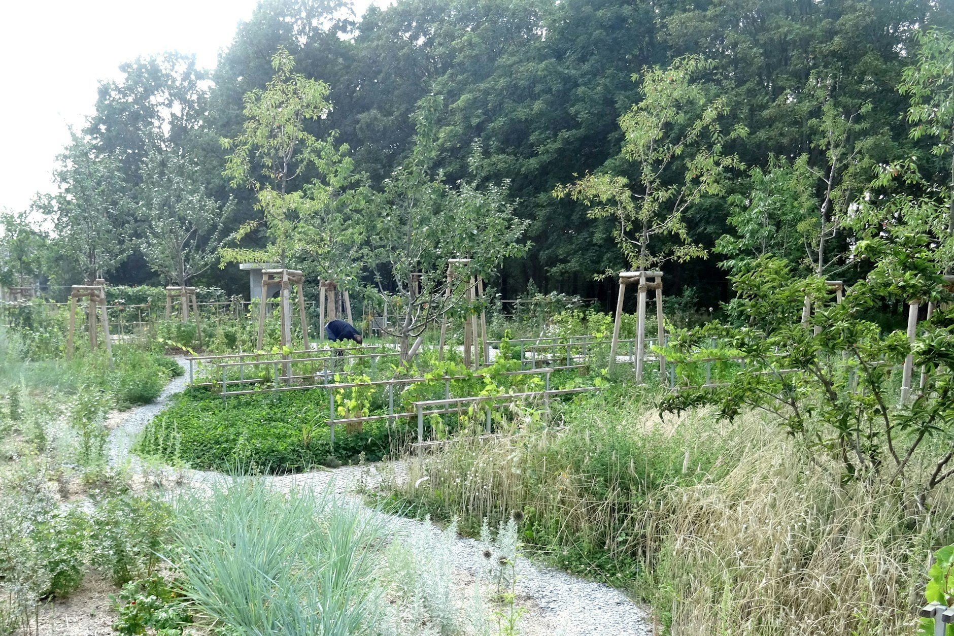 Der Jüdische Garten in den Gärten der Welt.