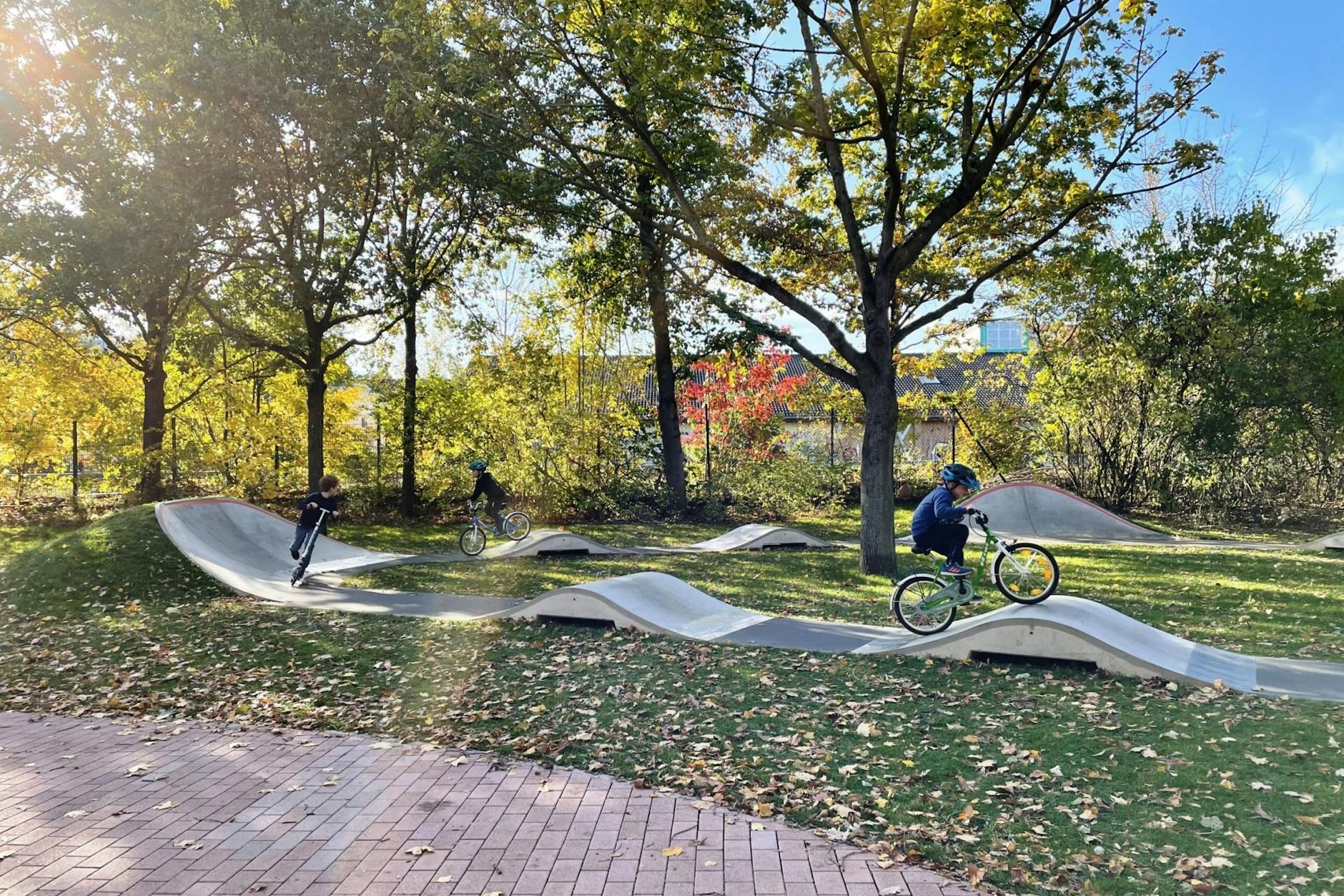 Die neue Mountainbike-Strecke in Reinickendorf.