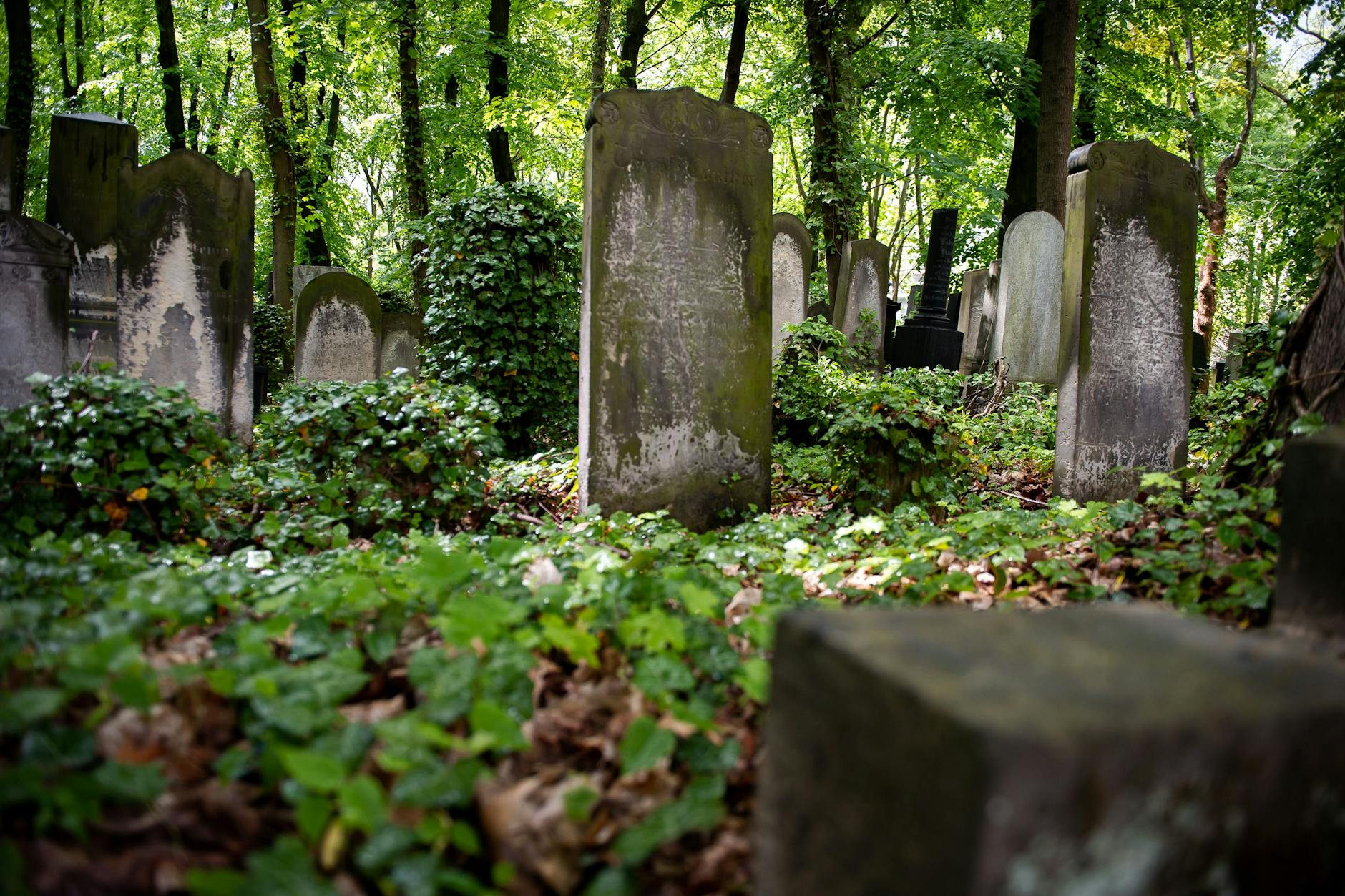 Der Jüdische Friedhof in Weißensee hat einen wild-romantischen Charme und erzählt viel über die Stadt.