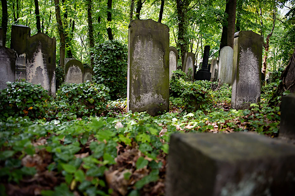 Der Jüdische Friedhof in Weißensee hat einen wild-romantischen Charme und erzählt viel über die Stadt.