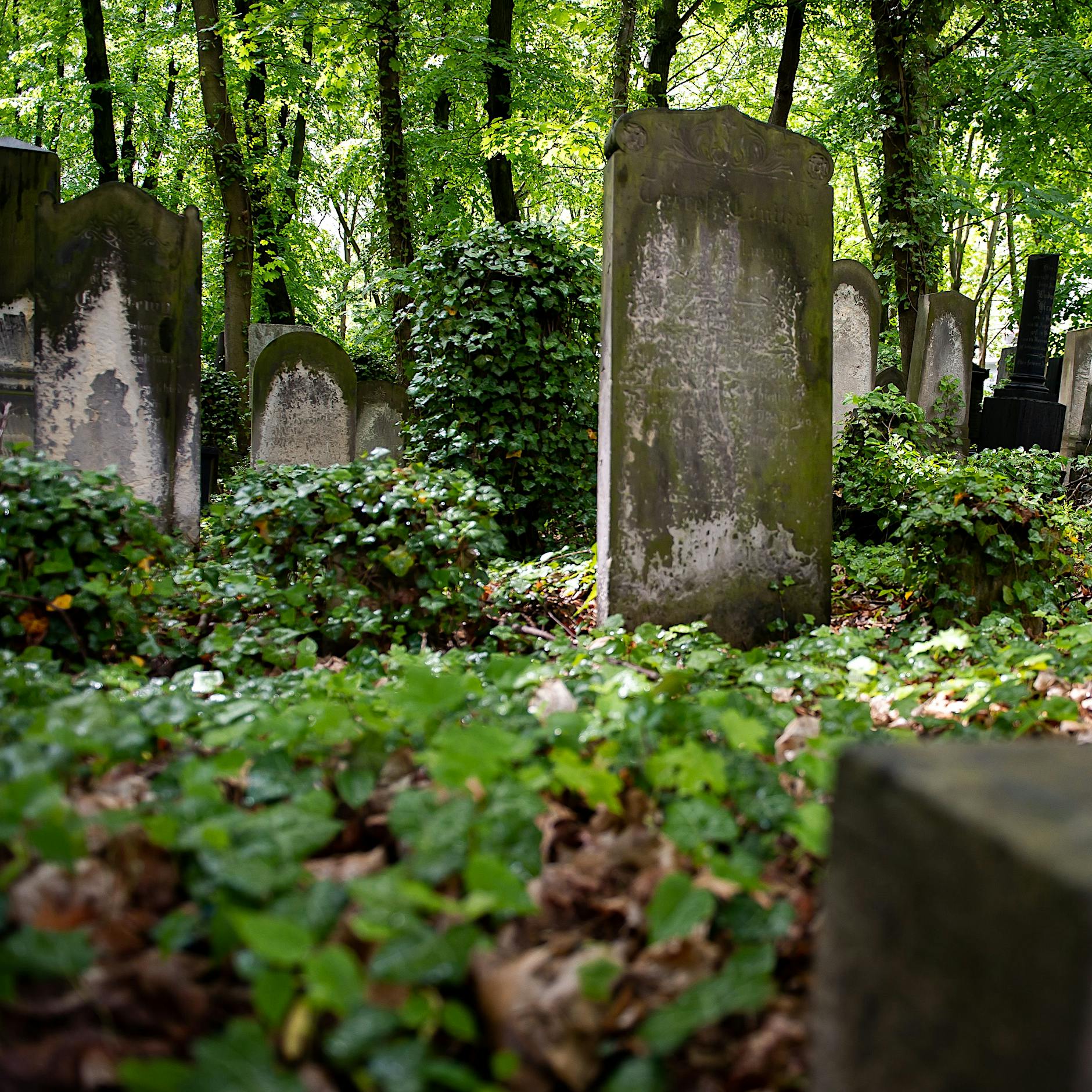 Promifriedhöfe in Ost-Berlin: Spaziergang mal anders