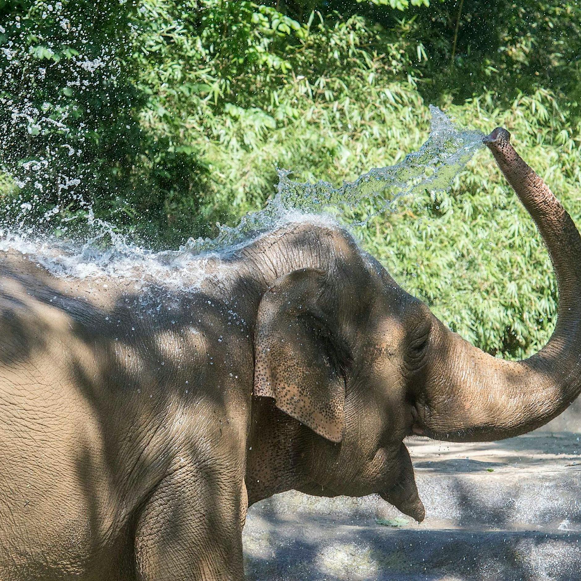 Alter, hat der Habeck etwa mich gemeint?