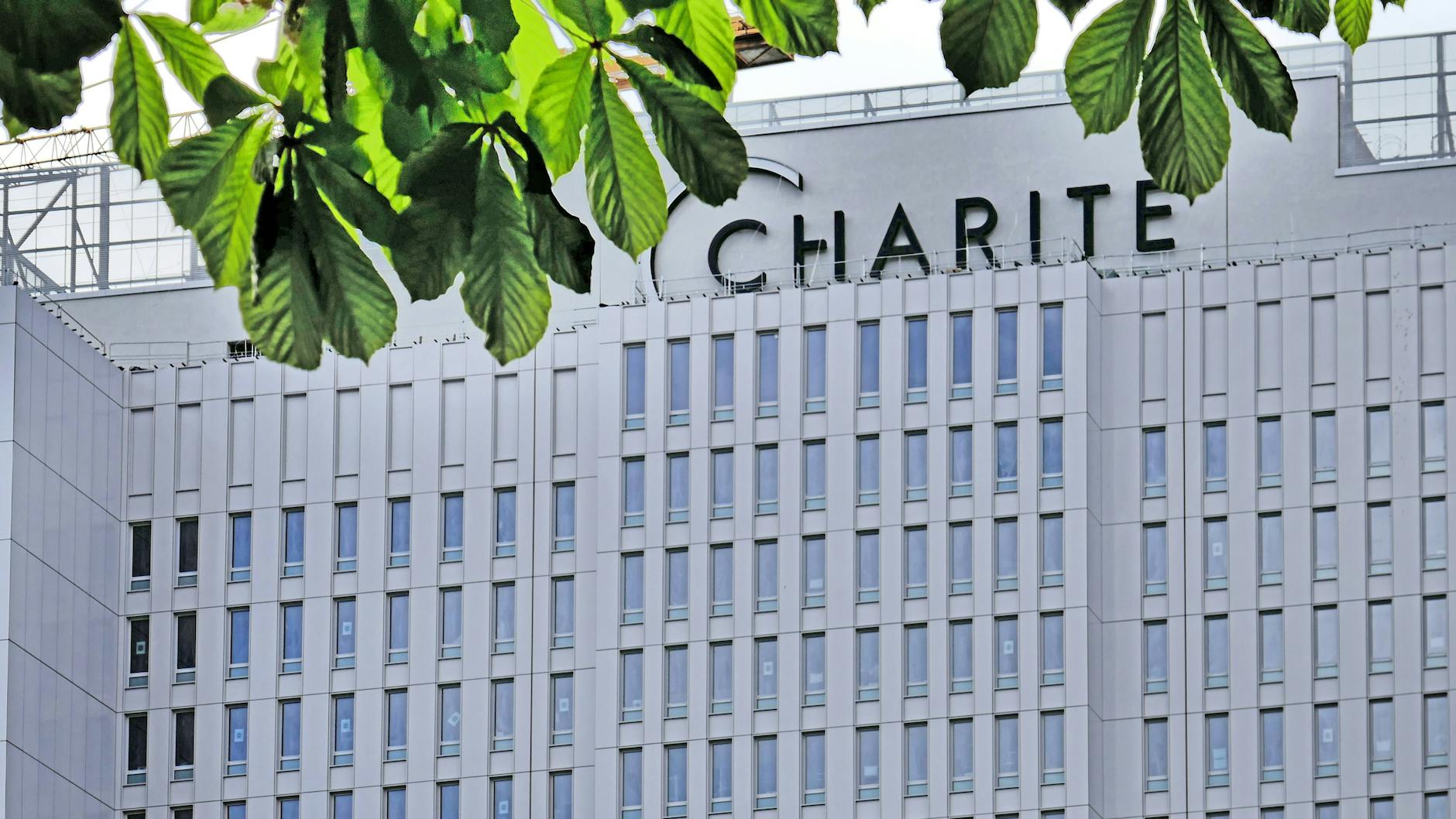 Der Campus Mitte der Charité.