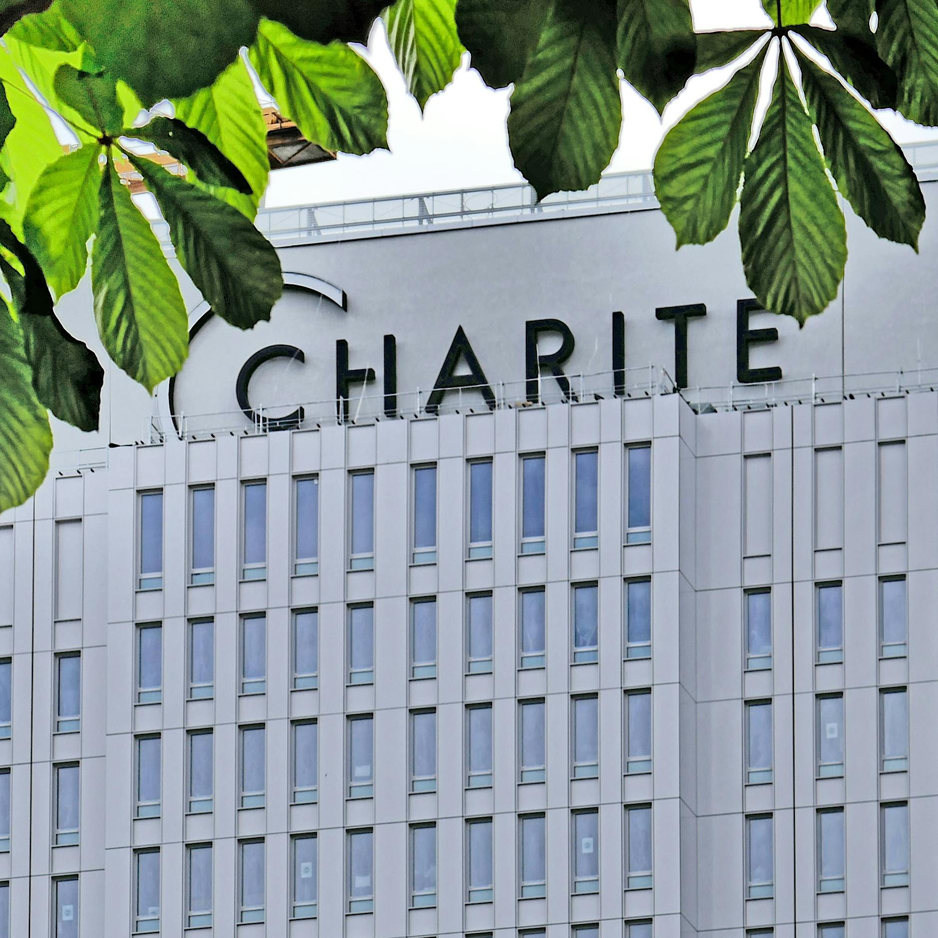 Impfstreit an der Charité: Gewerkschaft zieht vor Gericht