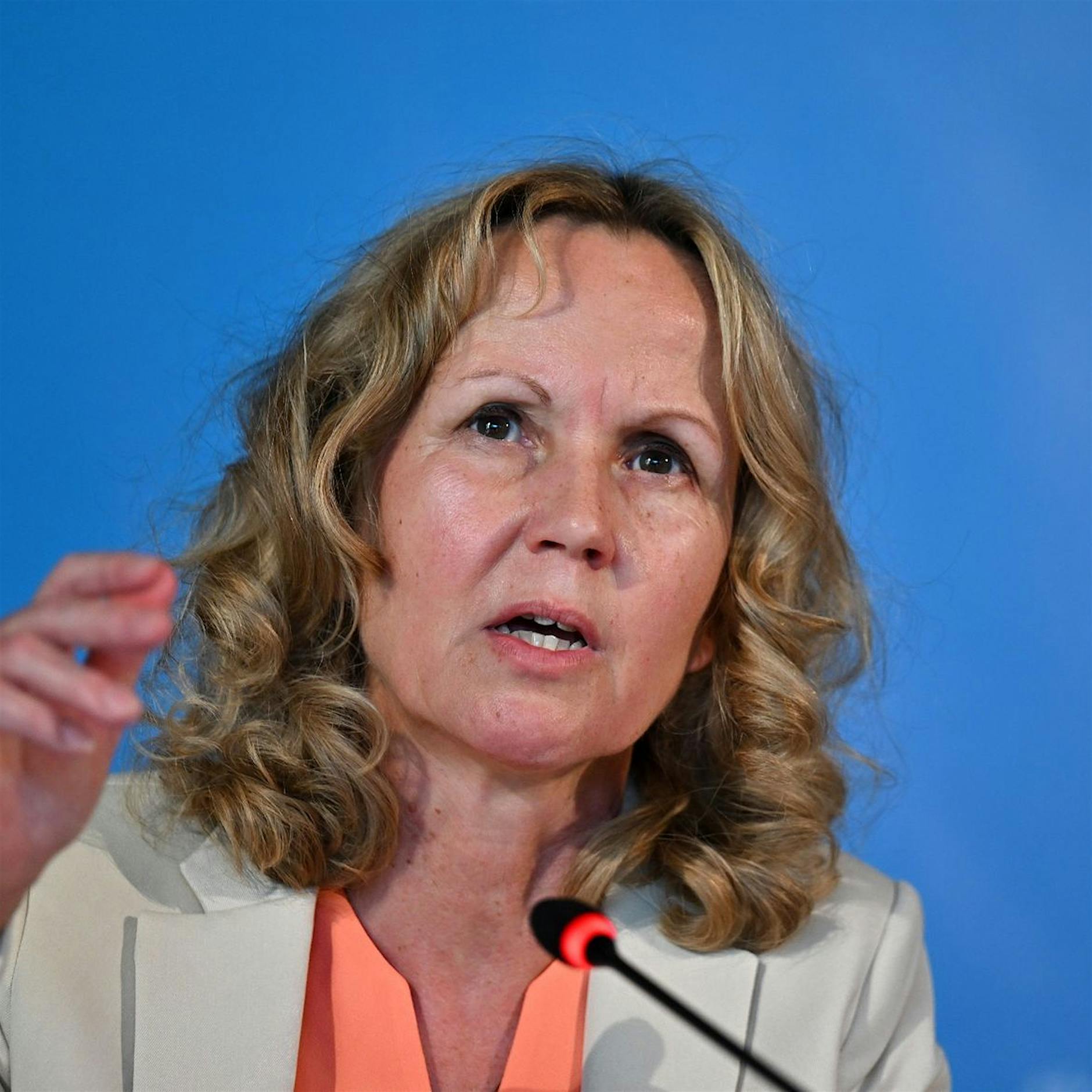 Lemke: Privathaushalte müssen mit Gas versorgt bleiben