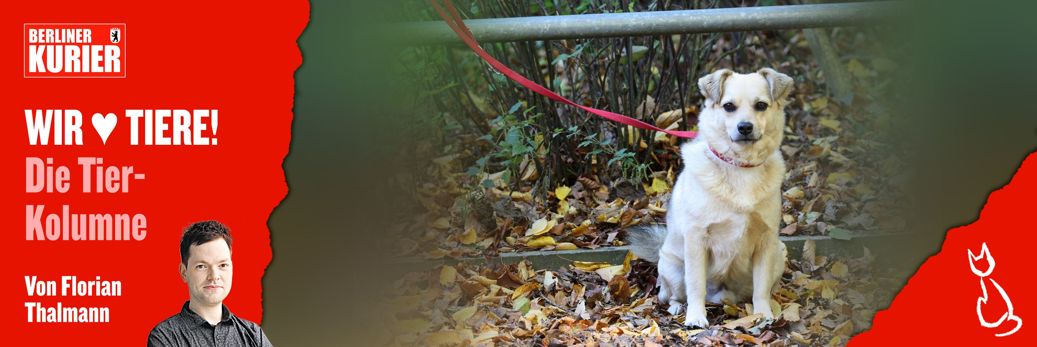 Im Urlaub hört die Tierliebe auf: Wer Hunde und Katzen aussetzt, um an den Strand zu fahren, gehört hart bestraft!