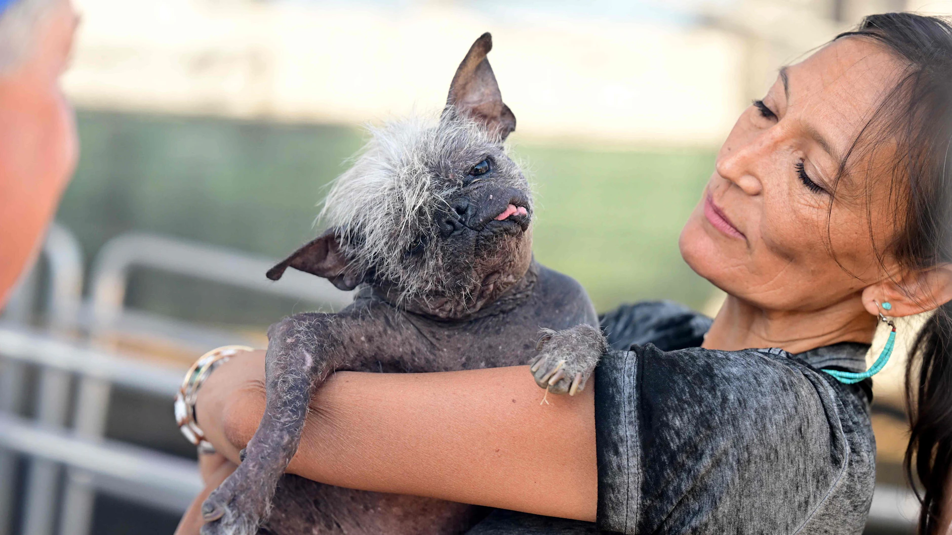 mr-happy-face-zum-h-sslichsten-hund-der-welt-gek-rt