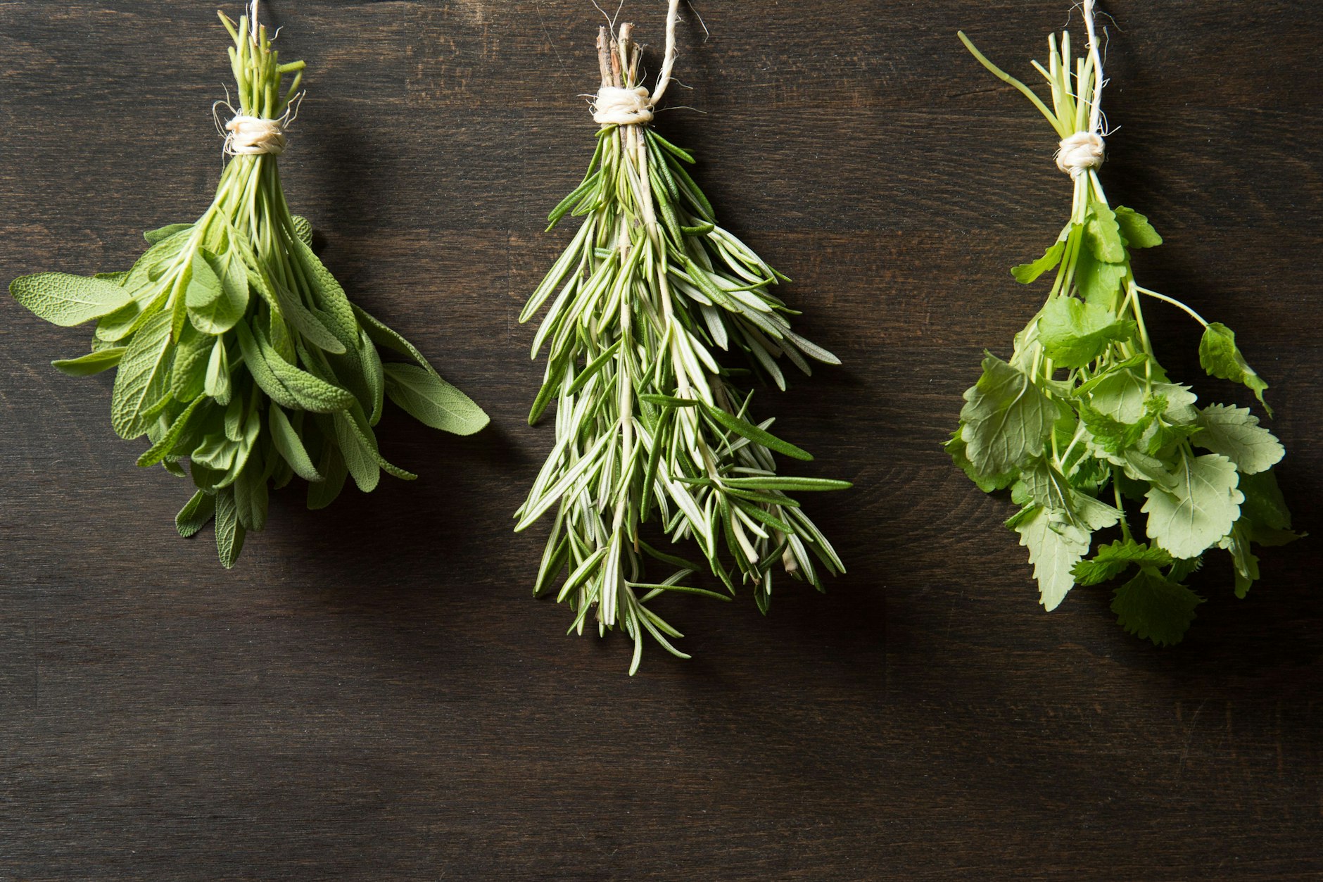 Frische Kräuter aus eigener Zucht: Lecker und gesund!