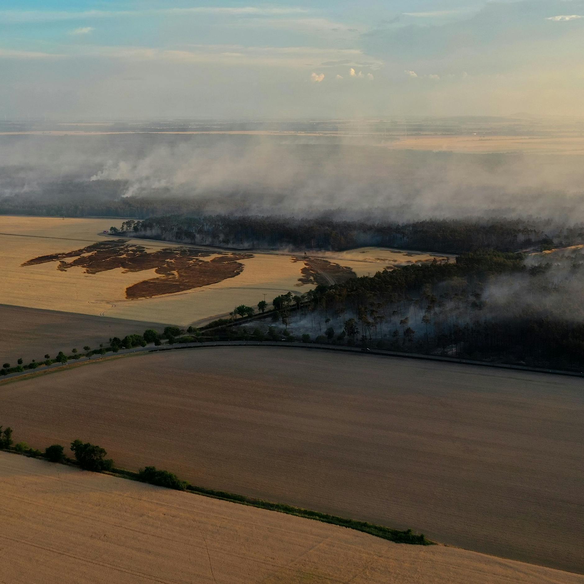 Dein Mittwoch: Waldbrand, Al Pacino Vater, irres Video mit Mr. Bean!