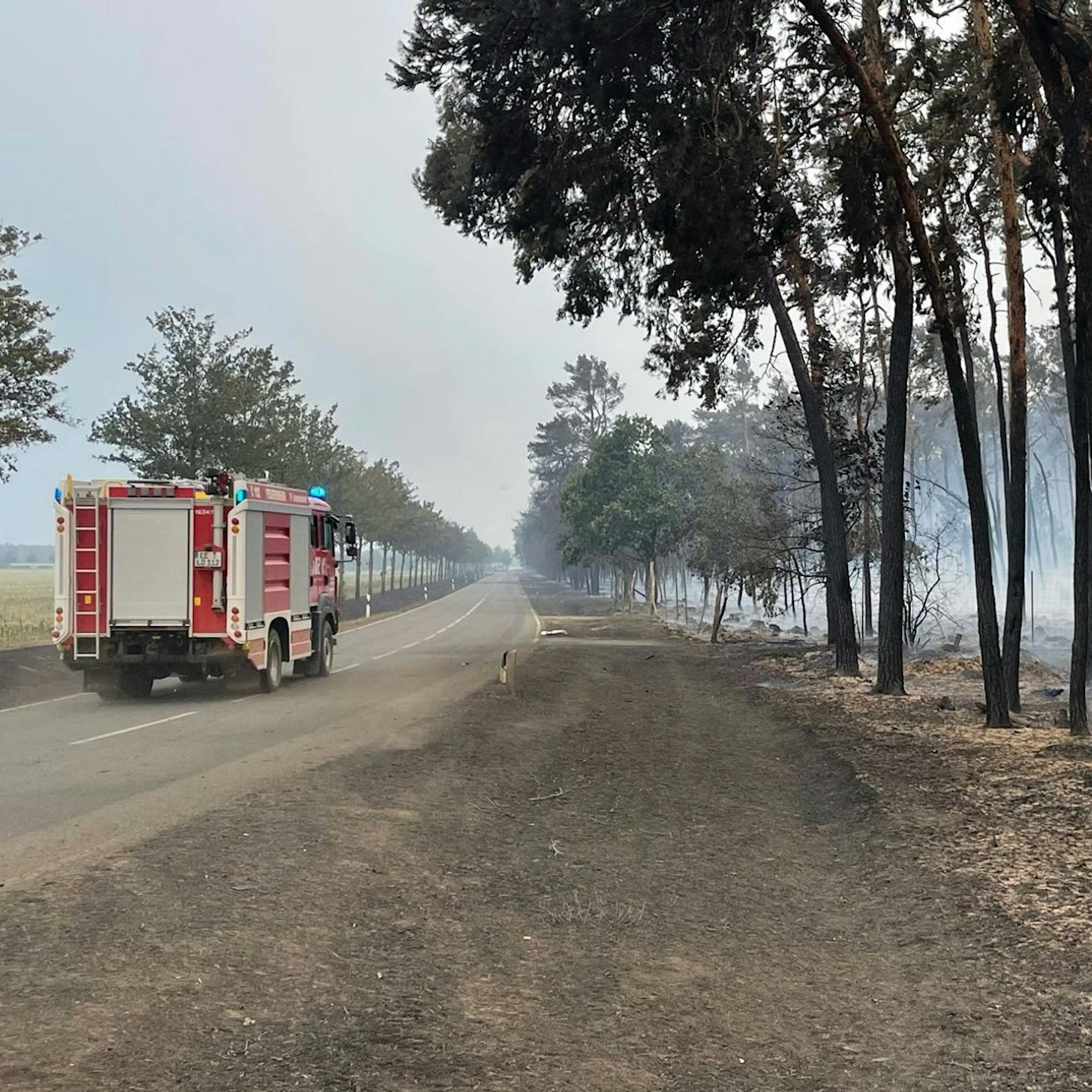 Es ist noch nicht überstanden! 350 Feuerwehrkräfte kämpfen mit Hubschraubern gegen Glutnester in Süd-Brandenburg